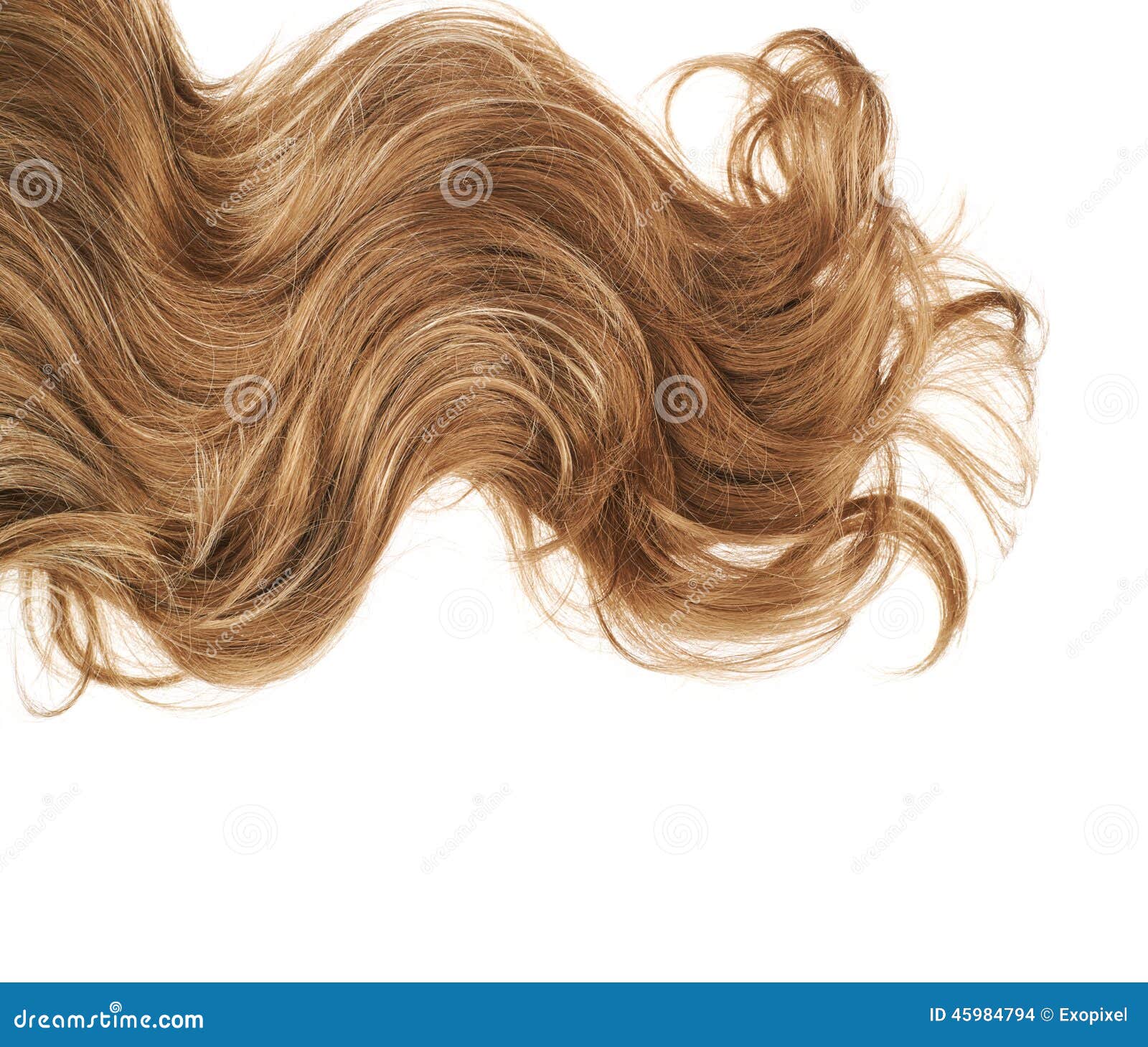 人的 孩子 女孩 面对 金发 长长的头发 树 出 性质图片下载 - 觅知网