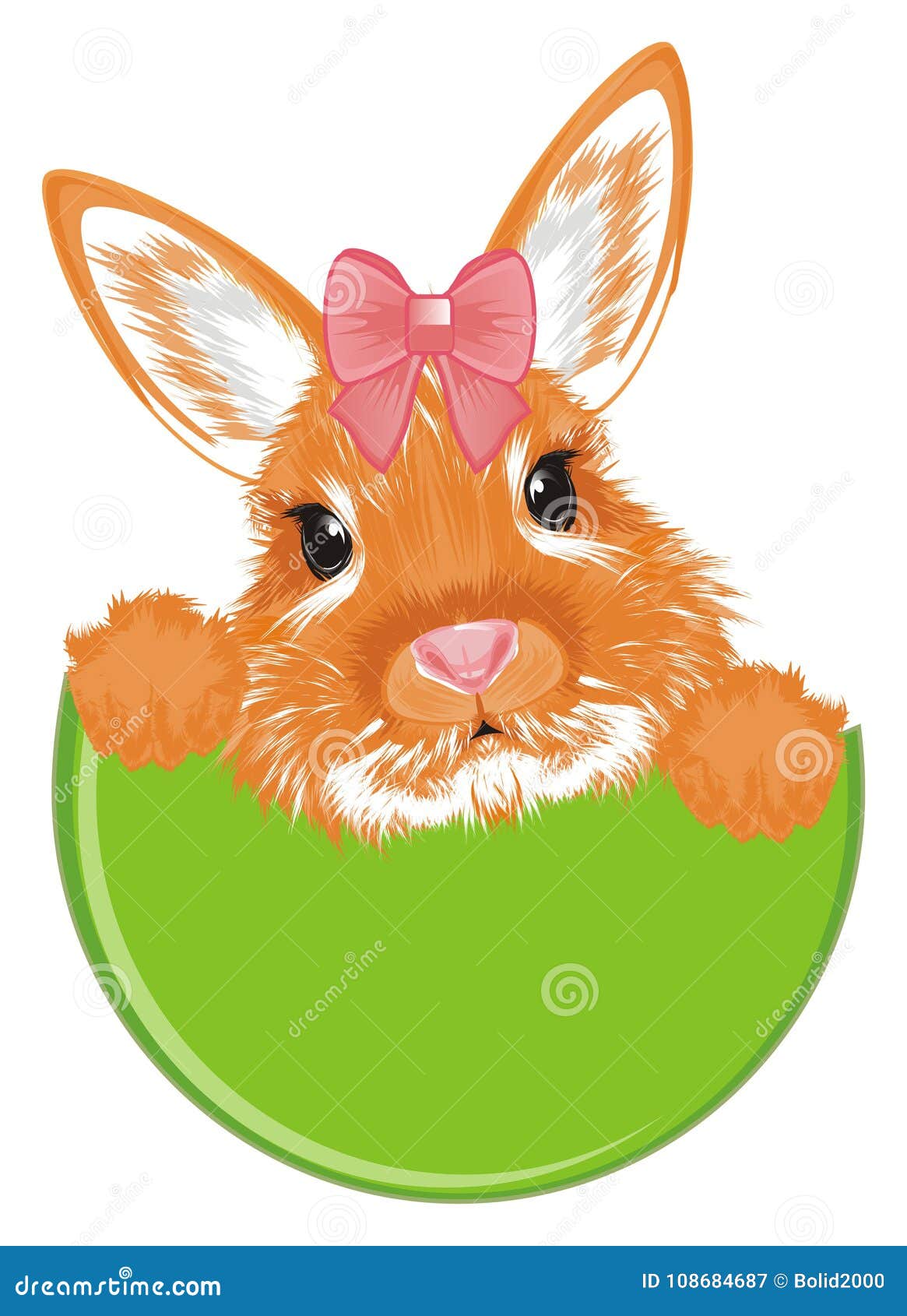 可爱小兔壁纸_动物_太平洋科技