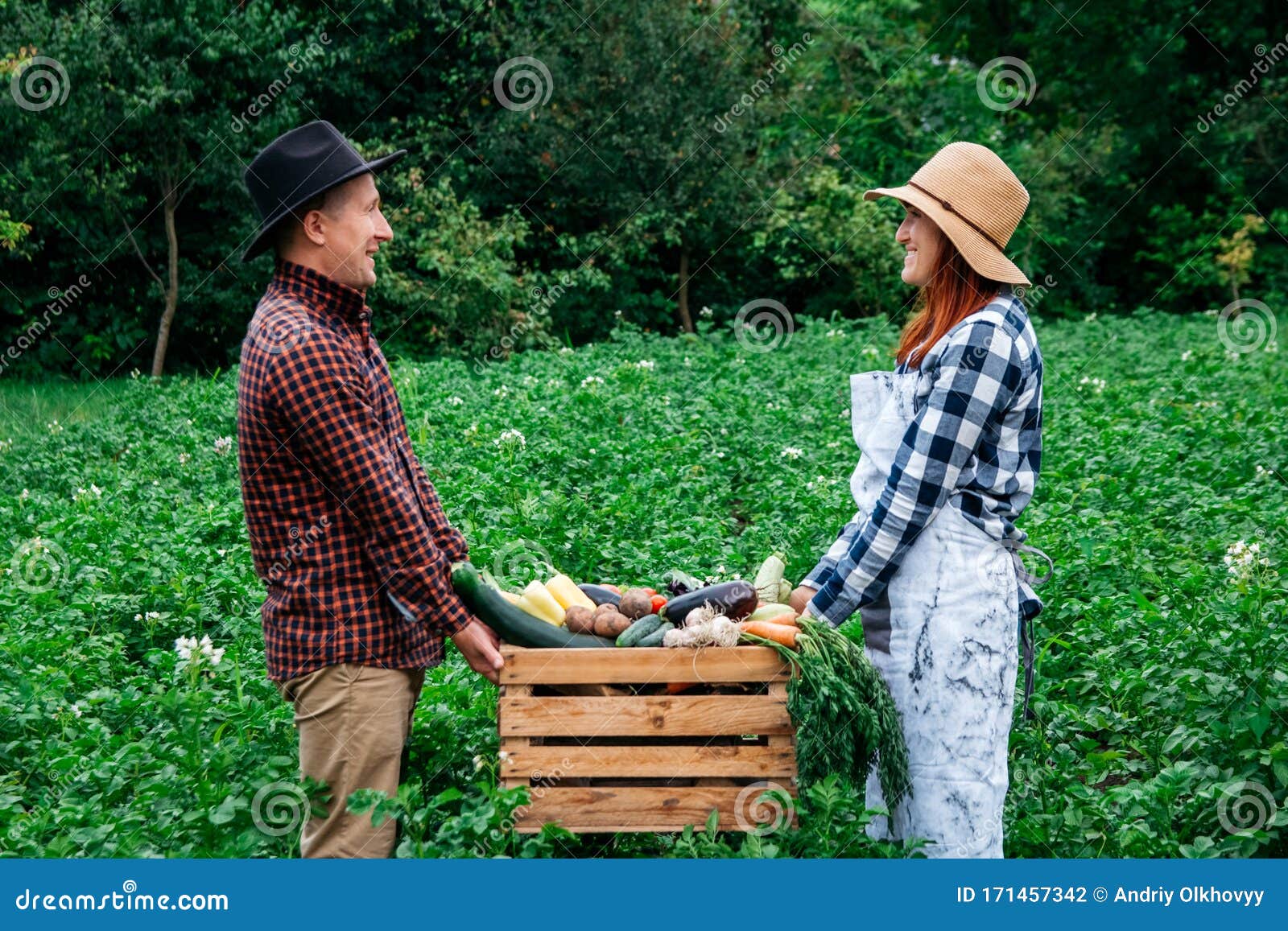 在菜园背景的木箱里，戴着帽子的男女农夫拿着新鲜有机蔬菜收到， 库存