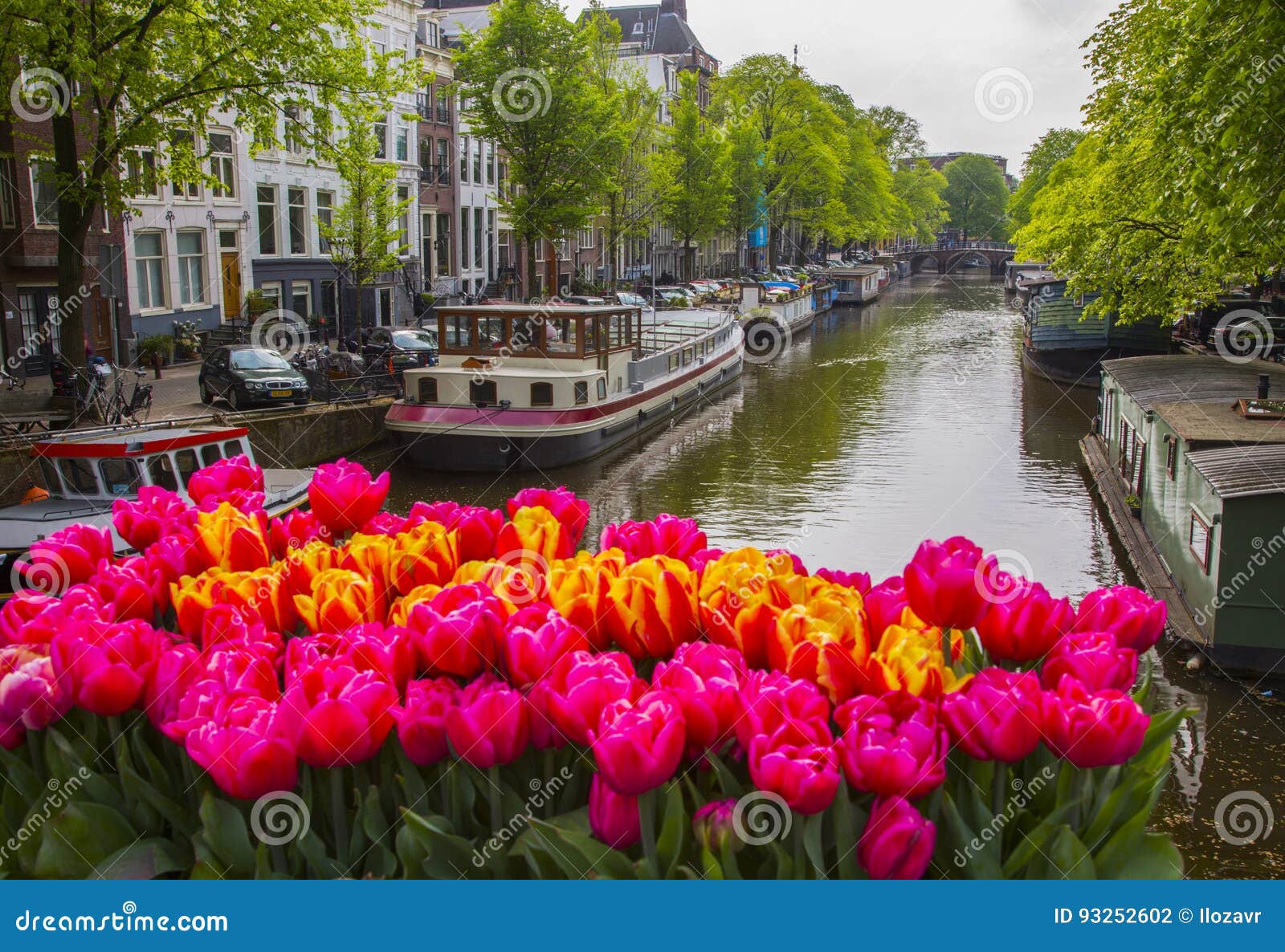 2020阿姆斯特丹郁金香博物馆-旅游攻略-门票-地址-问答-游记点评，阿姆斯特丹旅游旅游景点推荐-去哪儿攻略