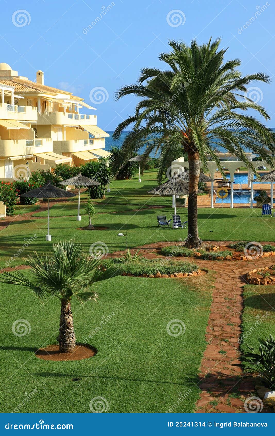 地中海的庭院. 美丽的庭院地中海棕榈树
