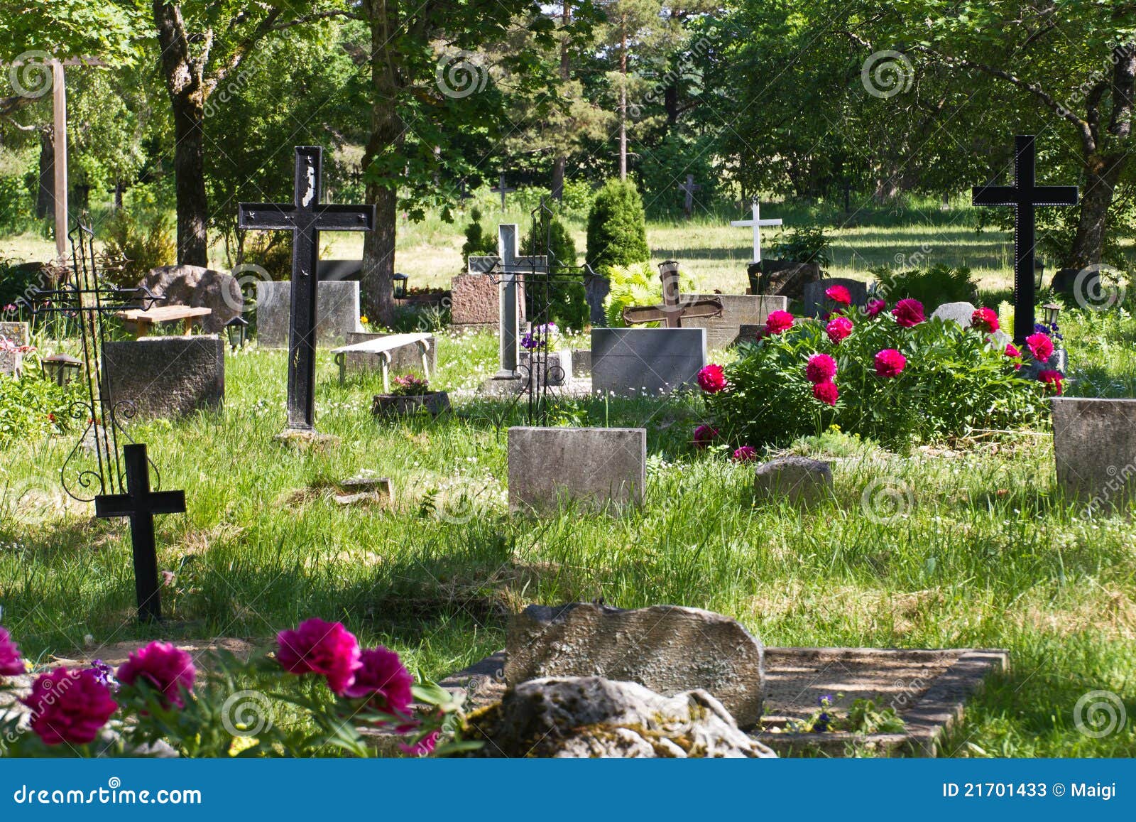 Cemetery. 墓地当代克服坟茔