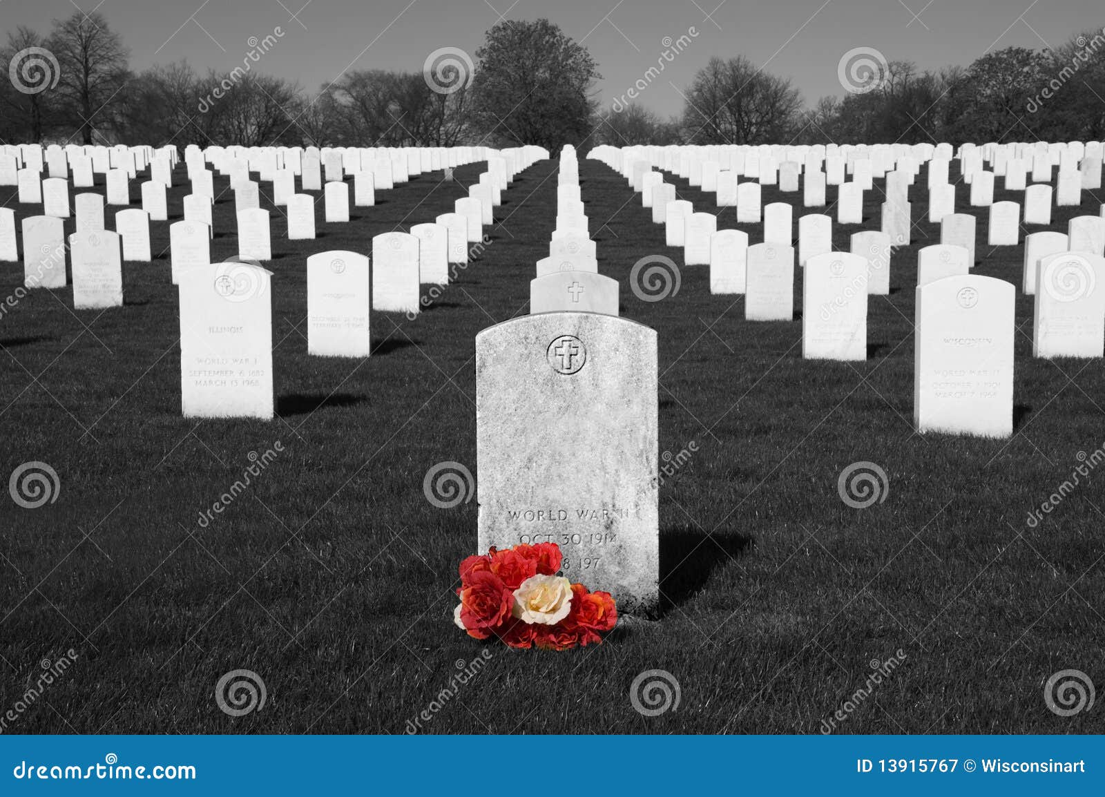 墓地日节假日纪念国家退伍军人