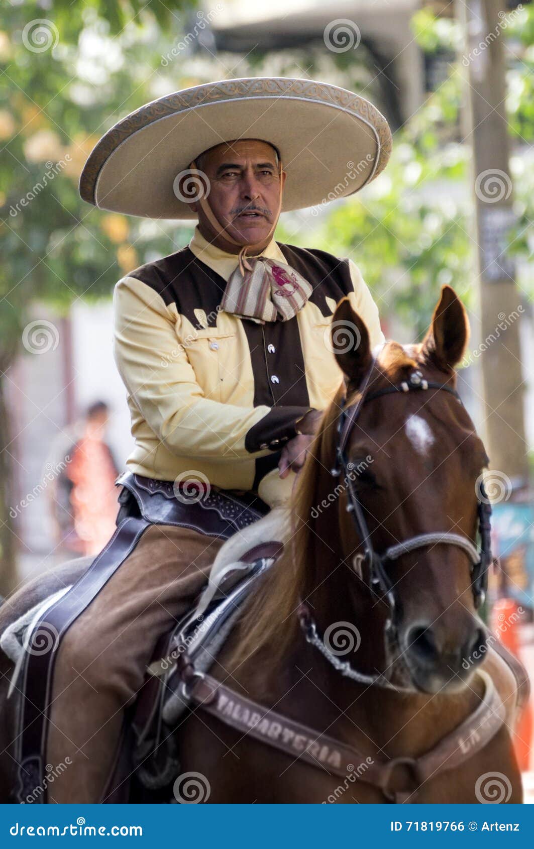 墨西哥牛仔 图库摄影片. 图片 包括有 服装, 马背, 牛仔, 体育运动, 穿戴, 传统, 竞争, 齿轮 - 115803752
