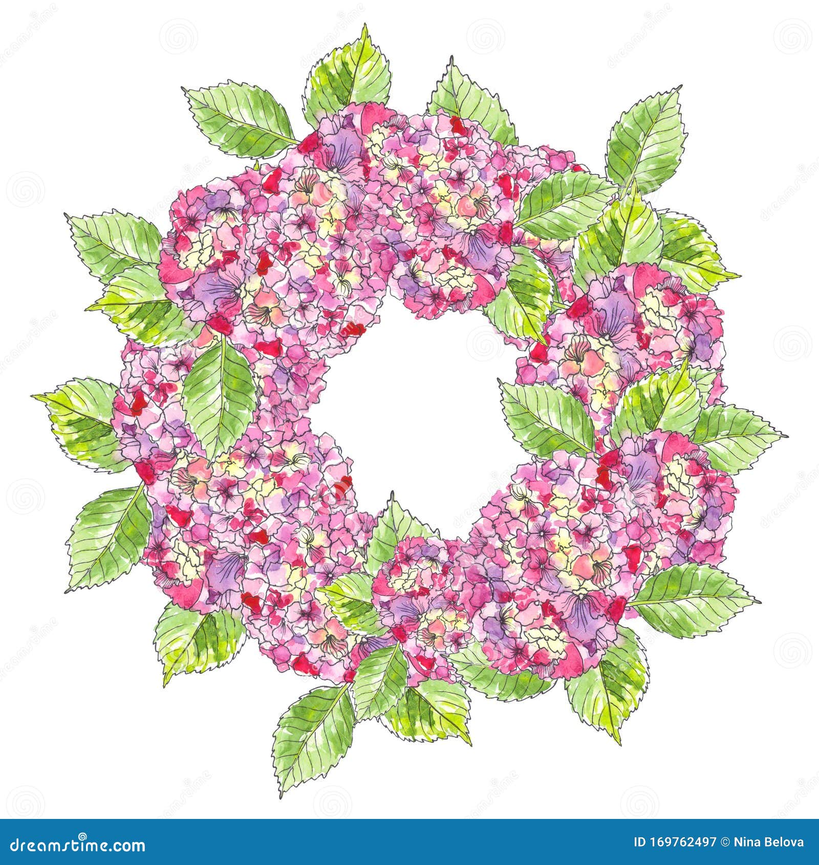 复古花卉迎花花圈园花、植物天然绣球花插图库存例证. 插画包括有