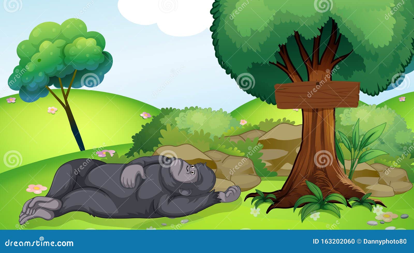 壁纸 大猩猩睡觉 3840x2160 UHD 4K 高清壁纸, 图片, 照片