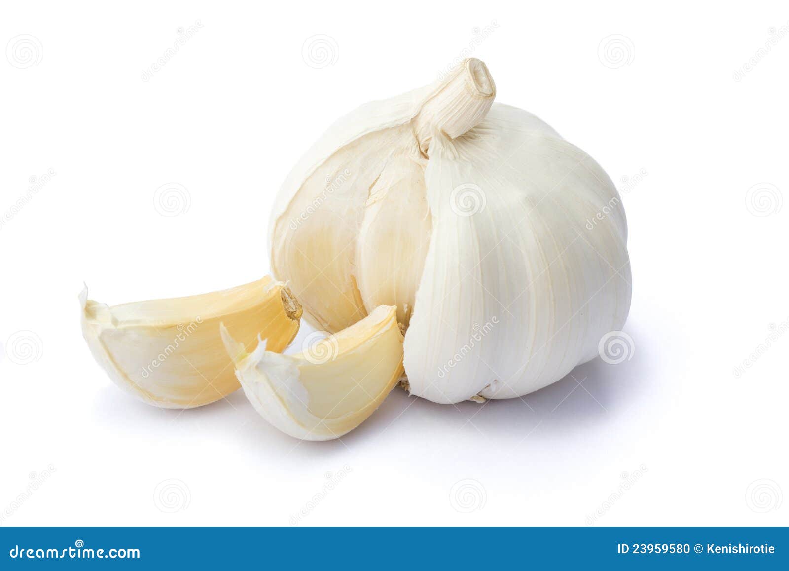 Garlic. 背景剪报大蒜路径白色