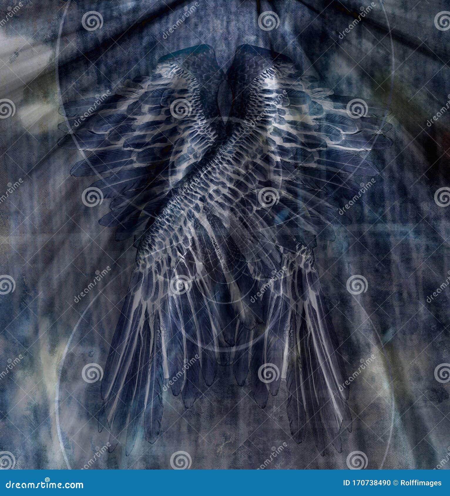 天使之翼图片素材-编号13285695-图行天下