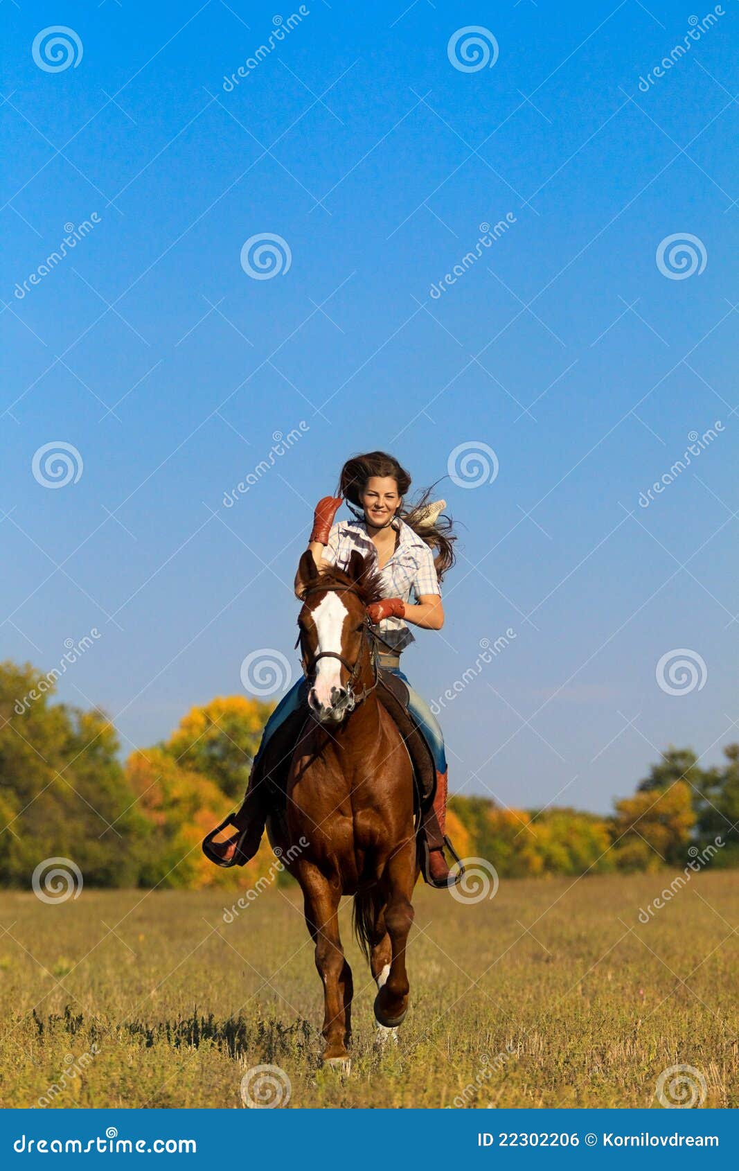 女孩马骑术年轻人 库存图片. 图片 包括有 年轻, 女孩, 骑马, 母马, 车手, 小跑, 小跑步马, 农田 - 14612713