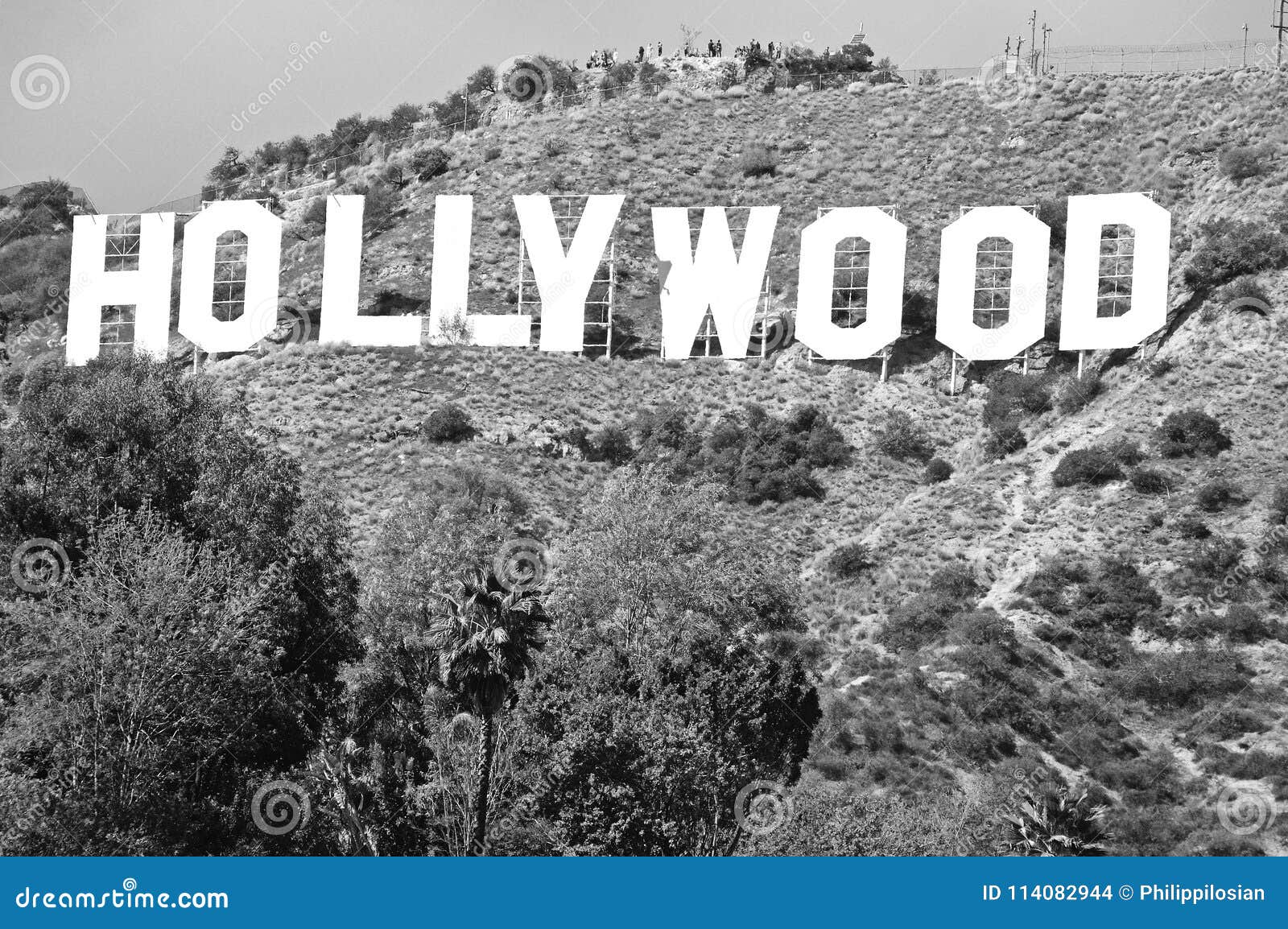 好莱坞标志 编辑类照片. 图片 包括有 海盗行为, 亚马逊, 安赫莱斯, 电影, 好莱坞, 星形, 旅行 - 32052101
