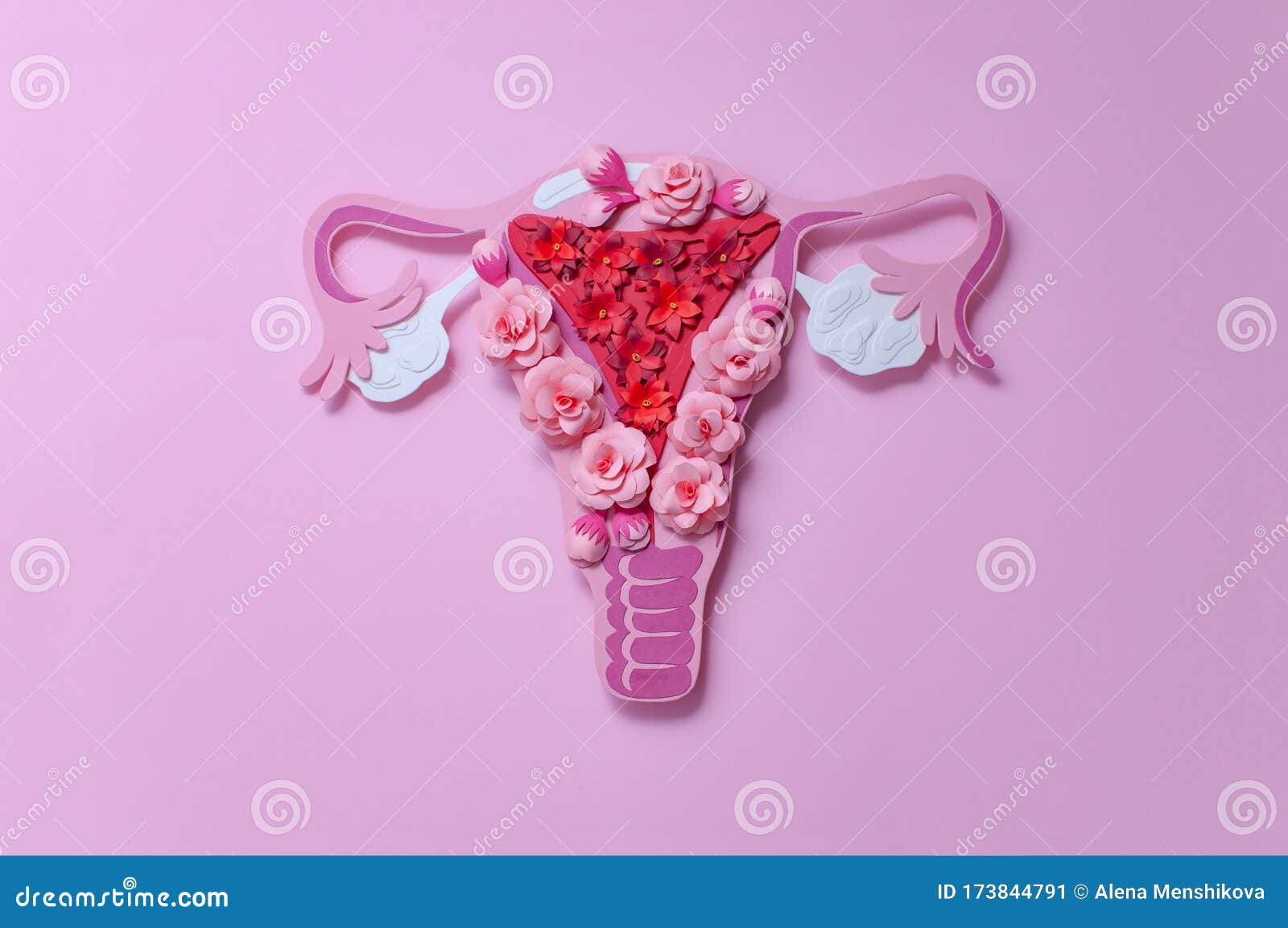 泌尿生殖器的系统的形象化在妇女的 库存图片. 图片 包括有 曲度, 的闪烁, 权利, 设计, 泌尿, 健康 - 112911657