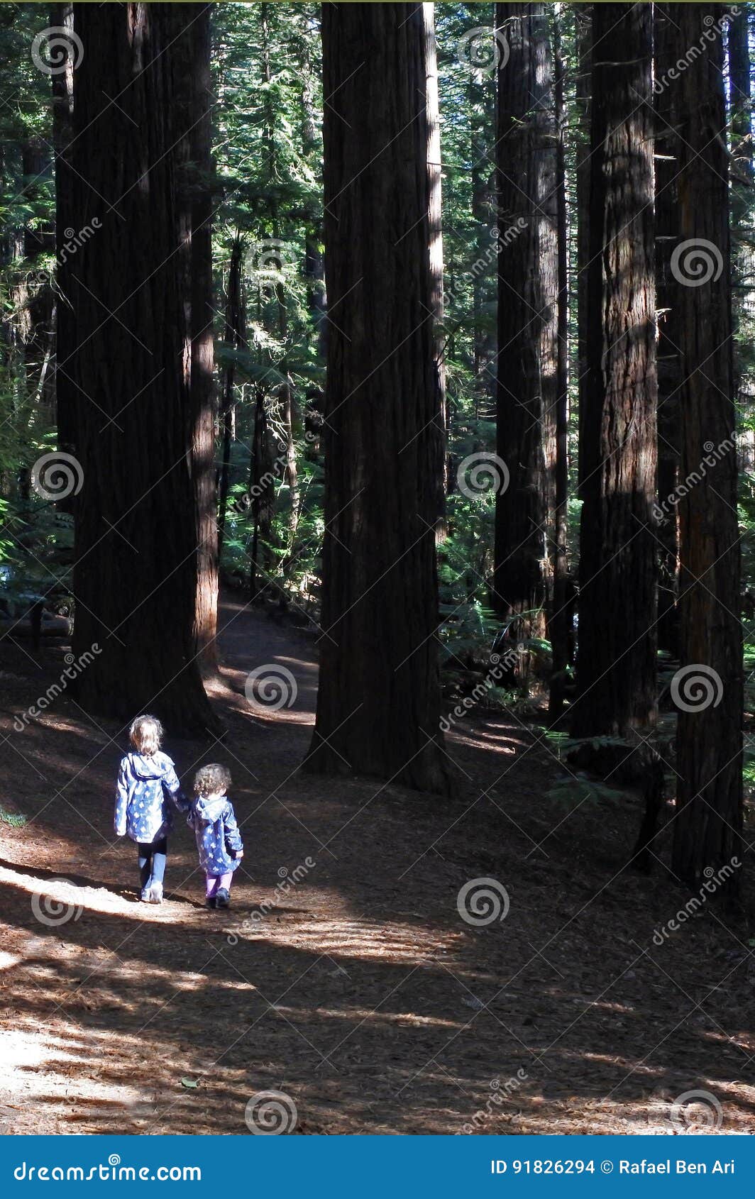 抱着树快乐玩耍的姐妹图片素材-编号15343469-图行天下