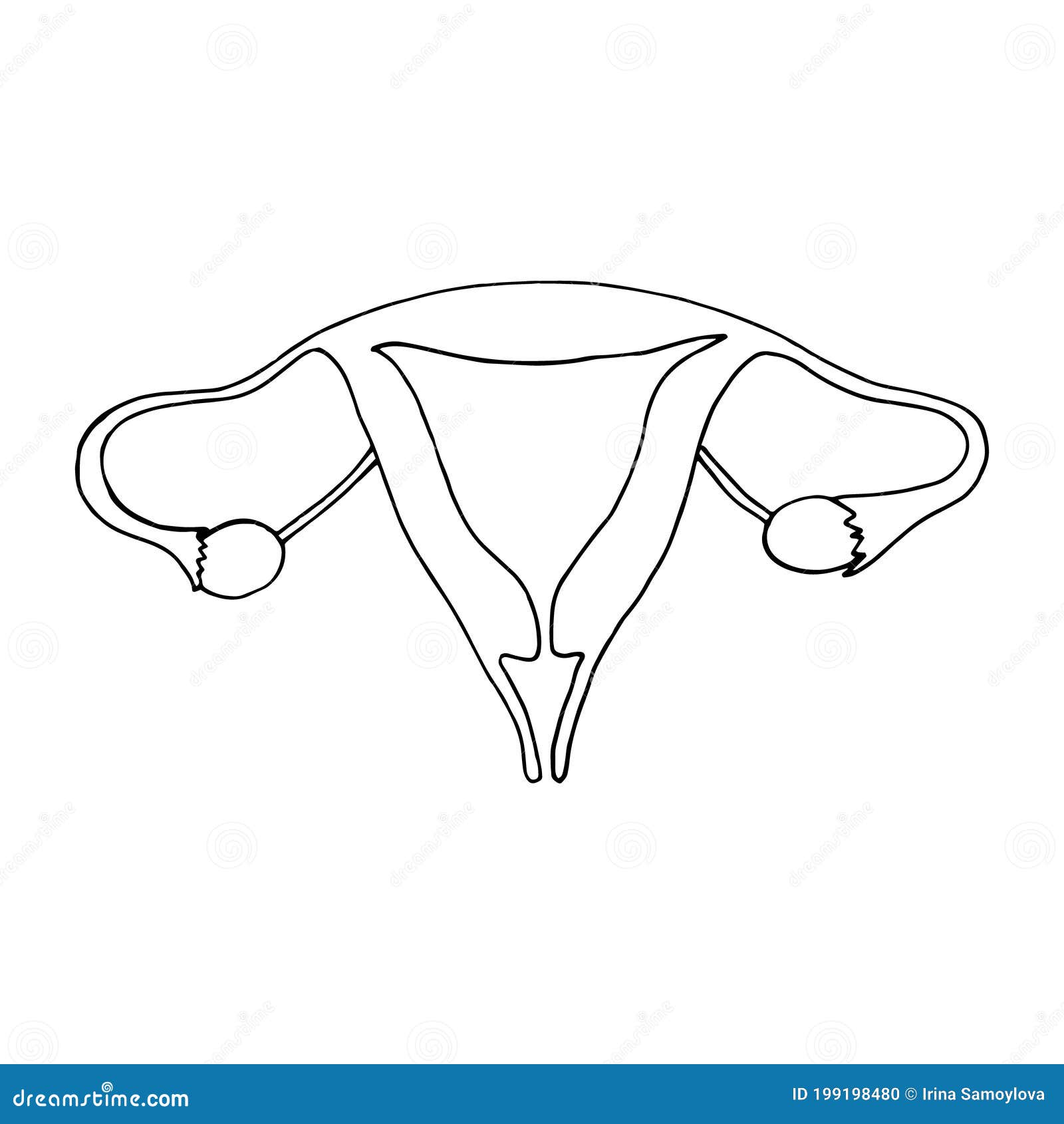 用女性生殖器涂鸦图片-商业图片-正版原创图片下载购买-VEER图片库