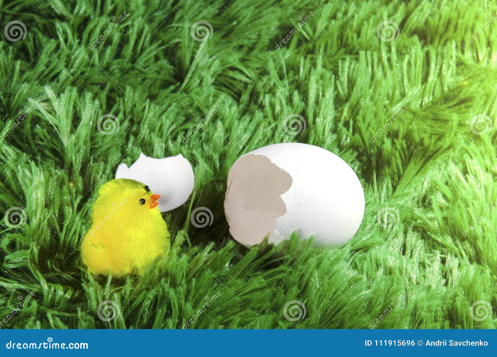 鸡和蛋都孵好了。小鸡从蛋里孵出来。鸟巢和一盘鸡蛋。母鸡农场。动物的性格。复活节快乐。卡通矢量插图孤立。插画图片素材_ID:414025038-Veer图库