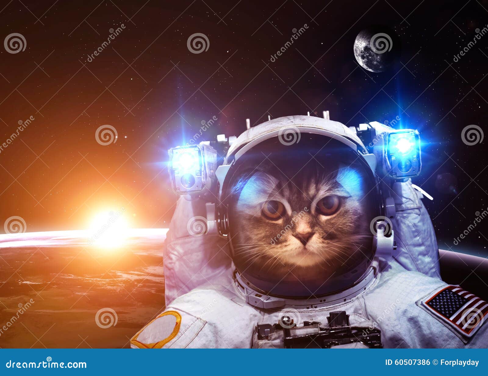 宇航员与猫|插画|创作习作|woshikongm - 原创作品 - 站酷 (ZCOOL)