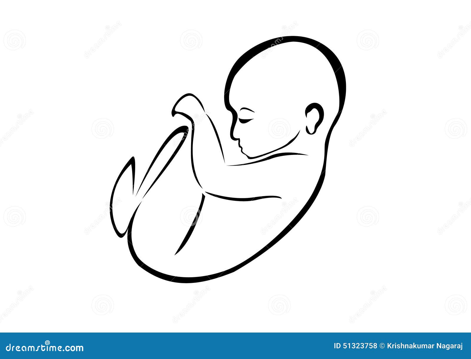 彩超三个月男胎儿图片-图库-五毛网
