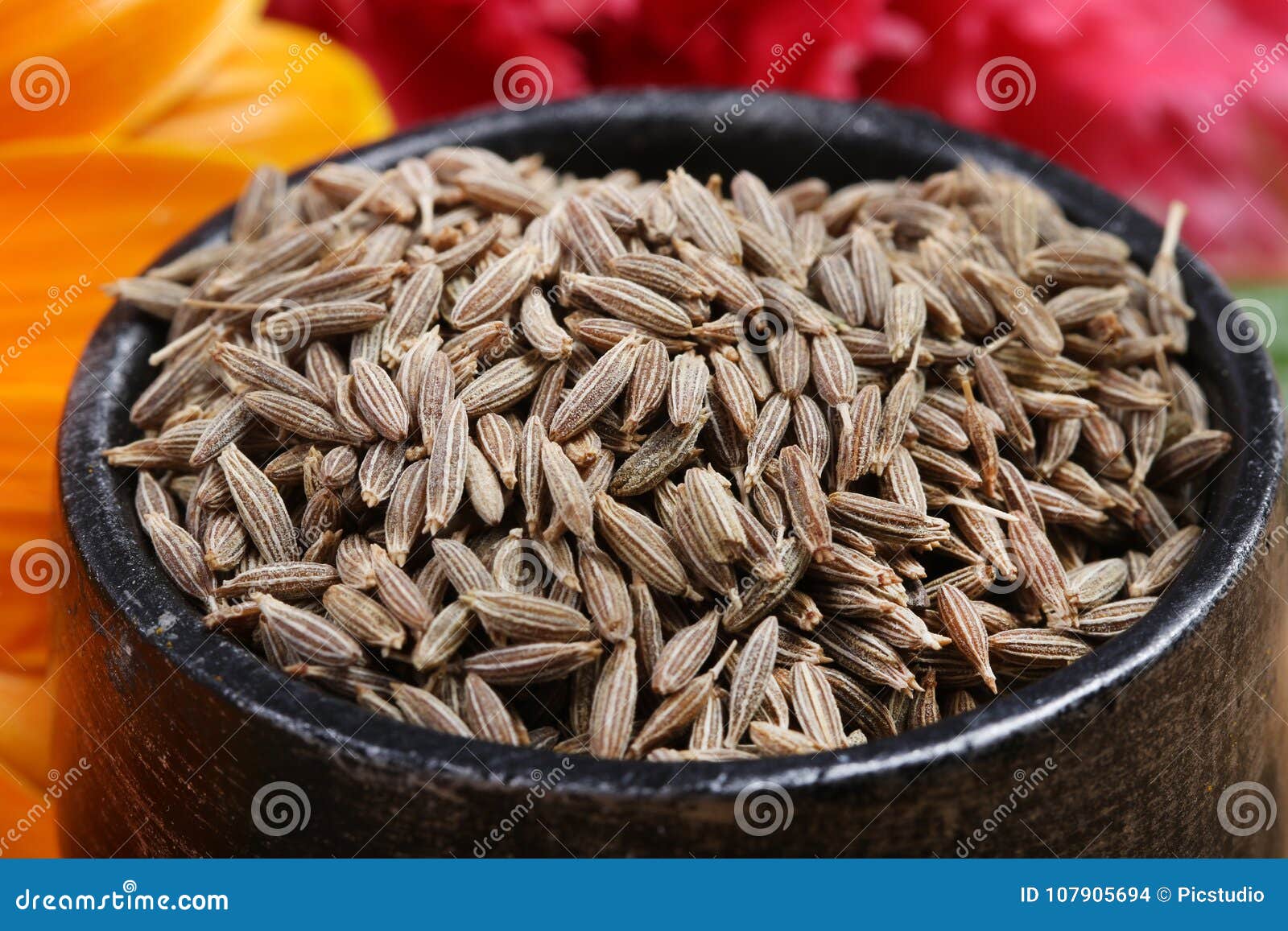 [瑪莎拉] 100％純天然小茴香籽 (孜然) {150 公克/裝} Cumin Seed | Yahoo奇摩拍賣