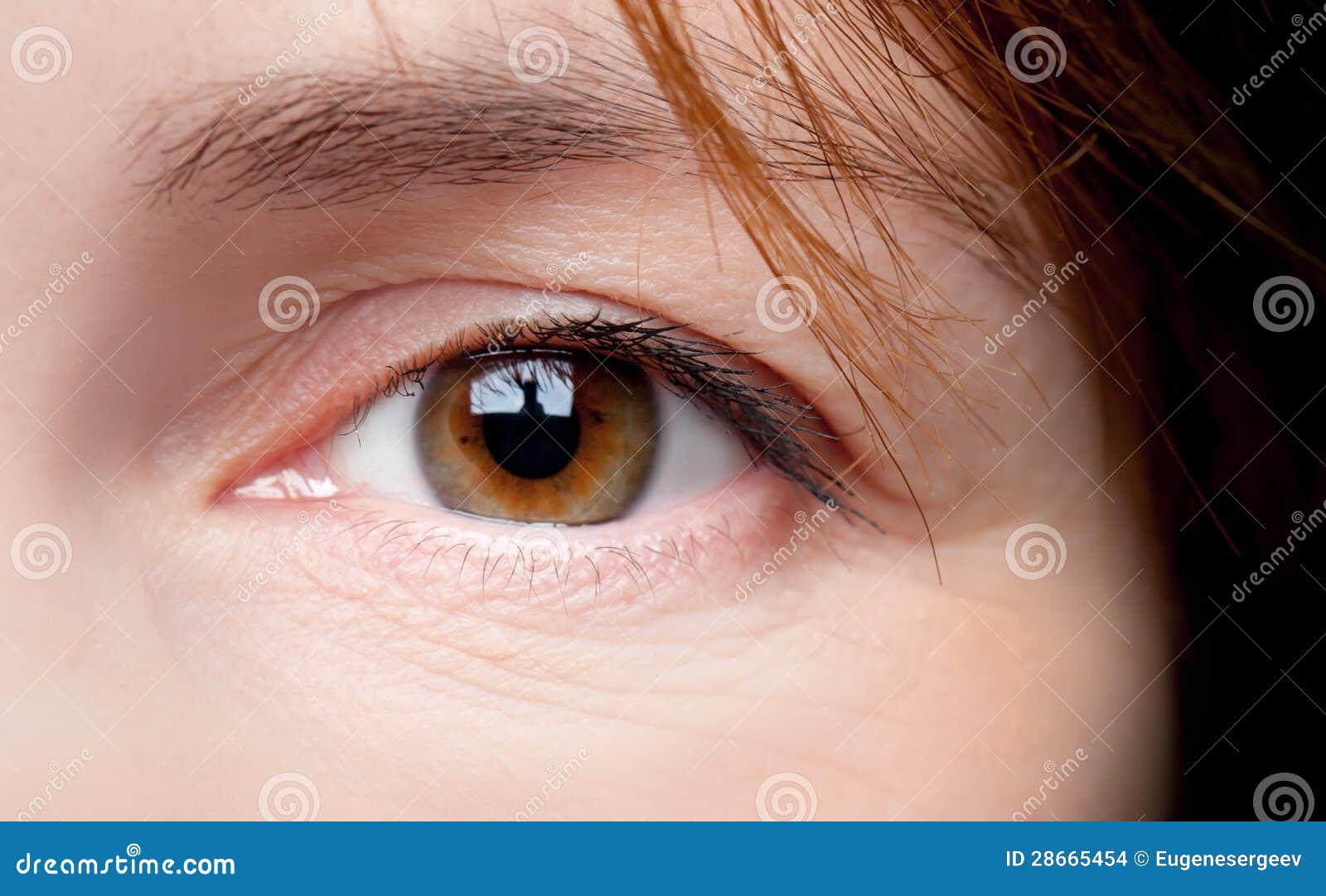 女孩的棕色眼睛特写镜头 库存照片. 图片 包括有 åœ, å…³é—­, æÿç «æ¯›æ²¹, æˆ äºº - 59184612