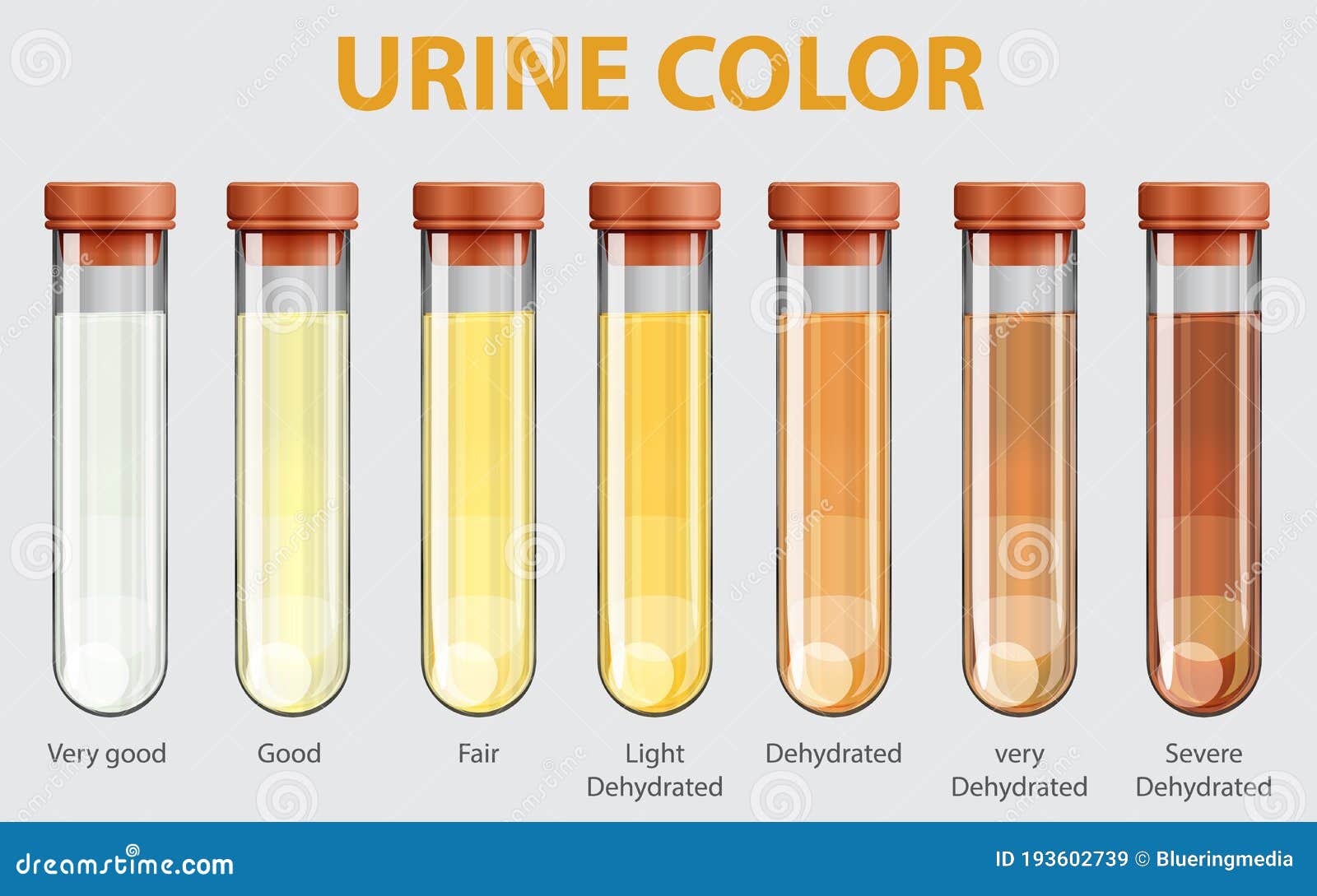 尿液的颜色, 身体的状况 • Know Body Condition Based On The Color Of Urine – Good ...