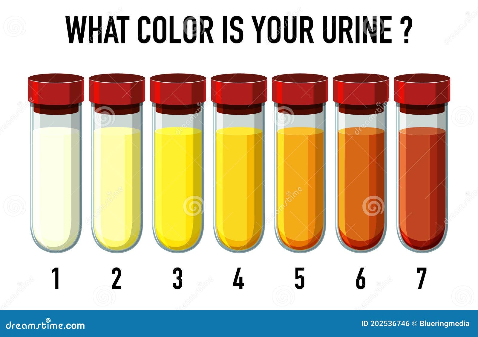 你的尿尿是什么颜色？反应了你的身体状况 - 知乎