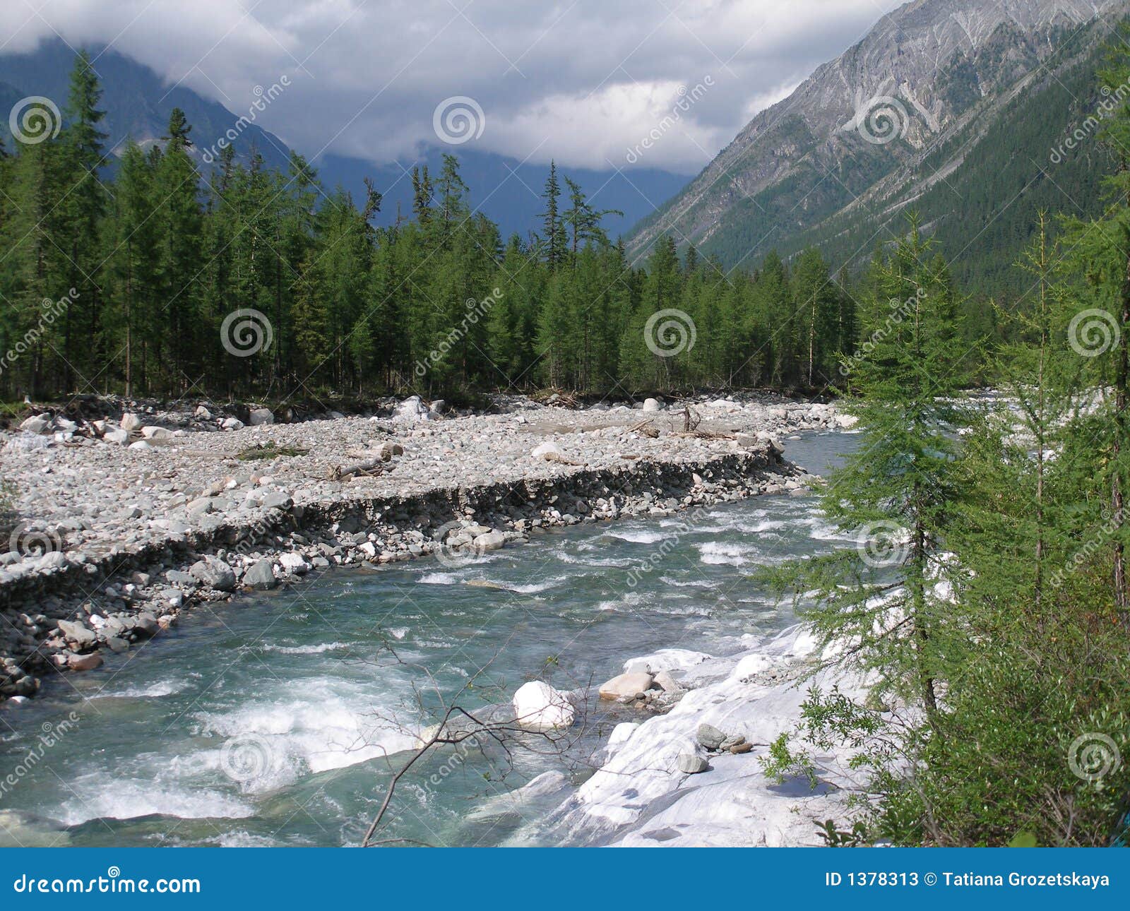 The mountain river. 使山河河沿俄国西伯利亚流taiga环境美化