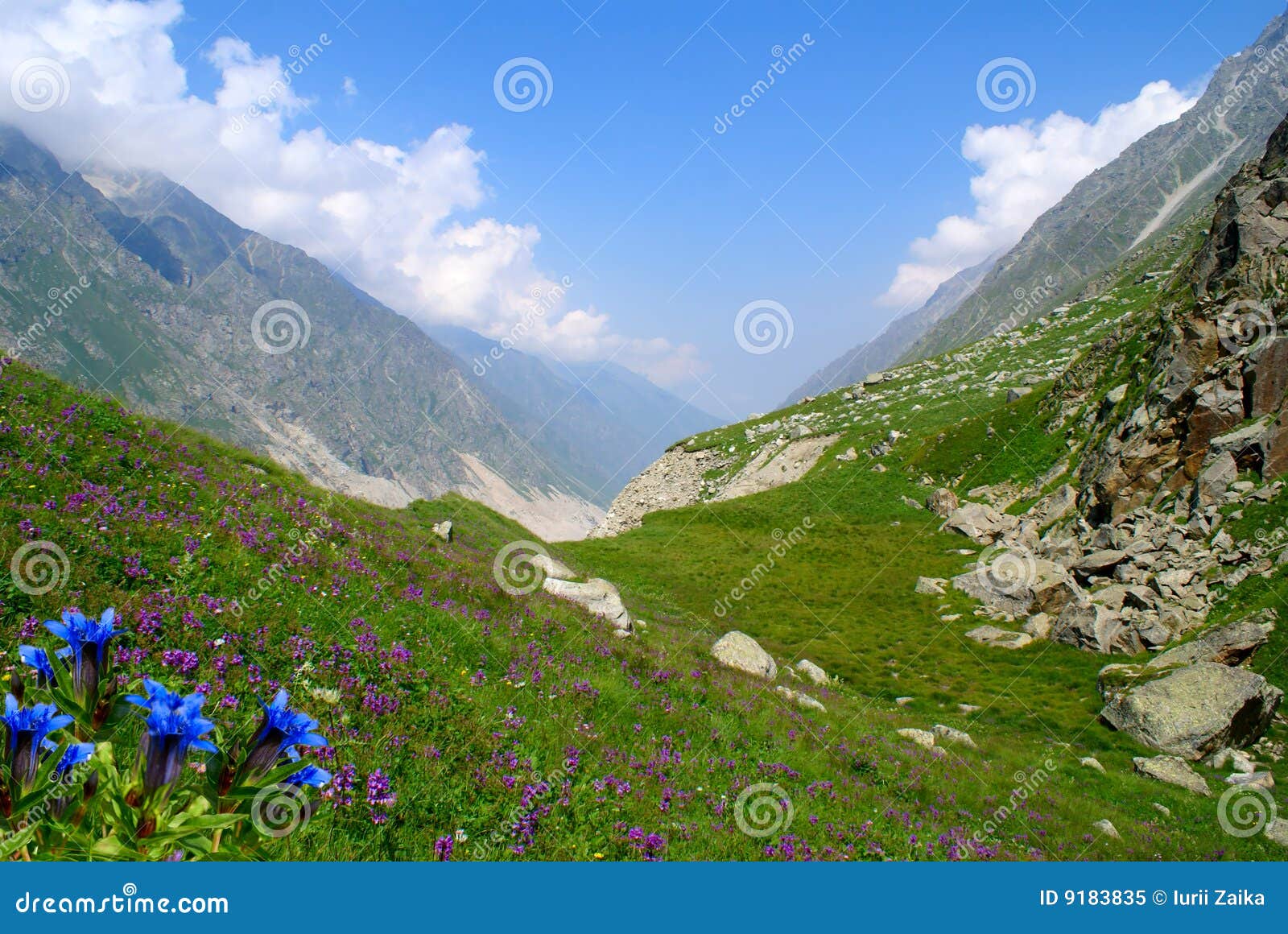 Mountain valley. 高山高加索上色密林谷