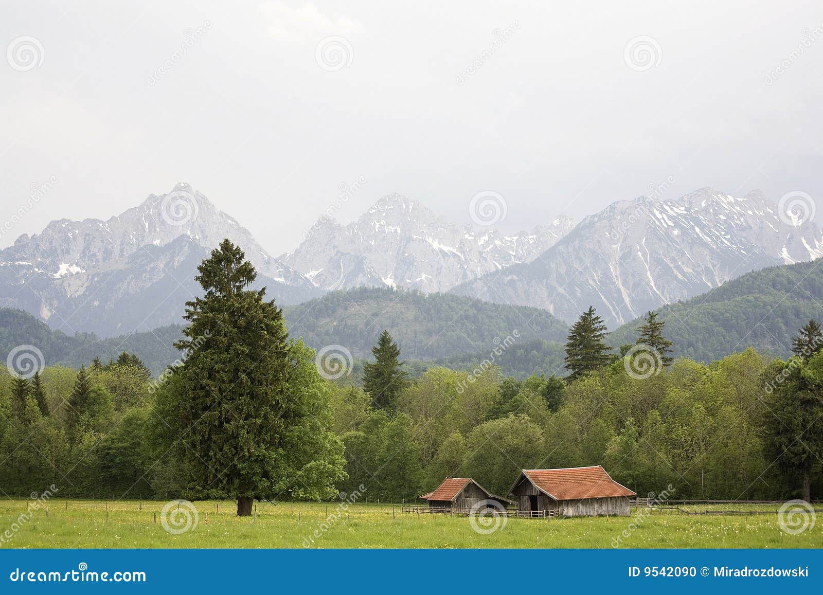 巴伐利亚德国. 阿尔卑斯德国可爱的全景