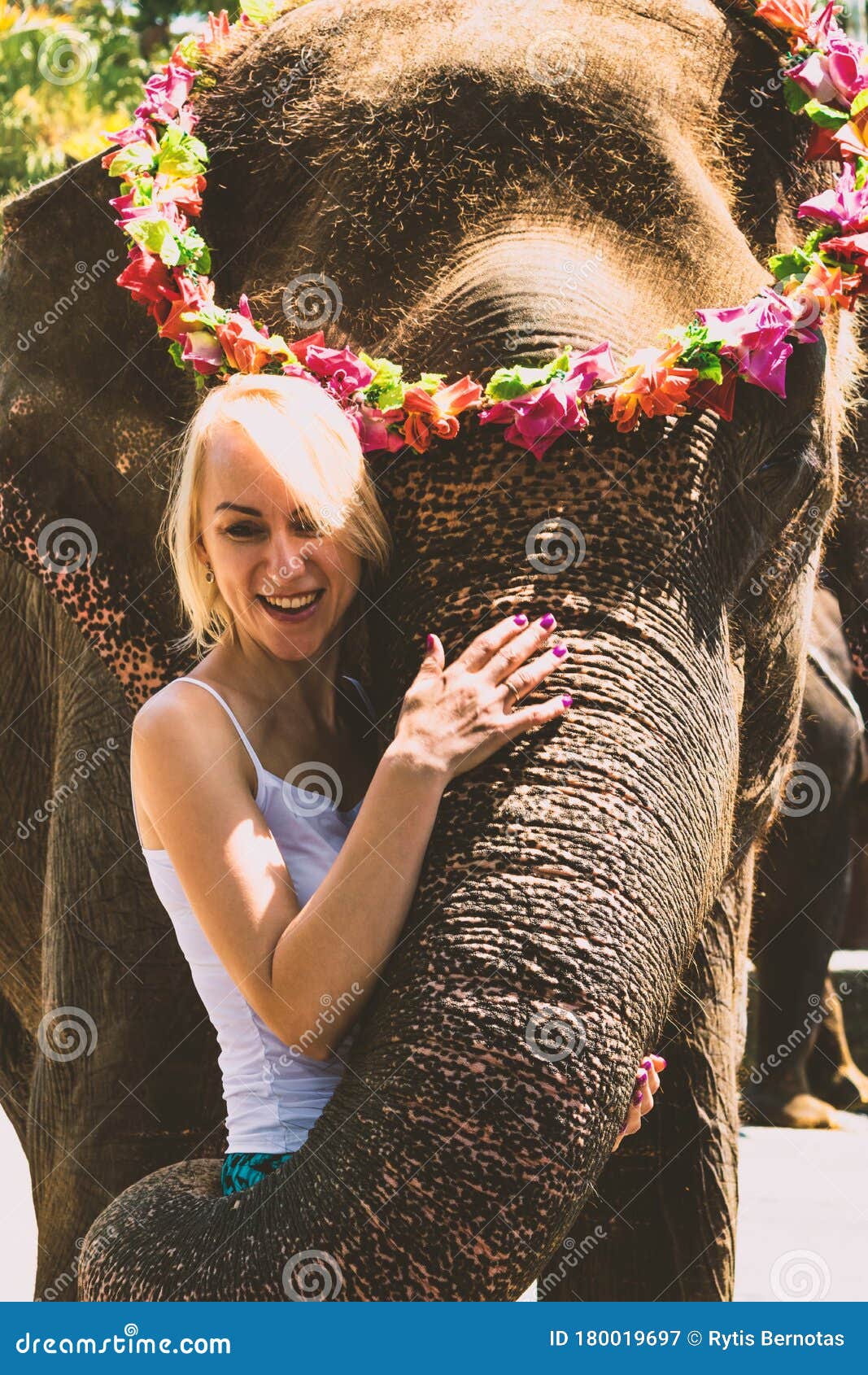 拥抱一头大象的女孩在密林 库存图片. 图片 包括有 少许, 环境, 纵向, 拥抱, 幸福, 女性, 哺乳动物 - 144997445