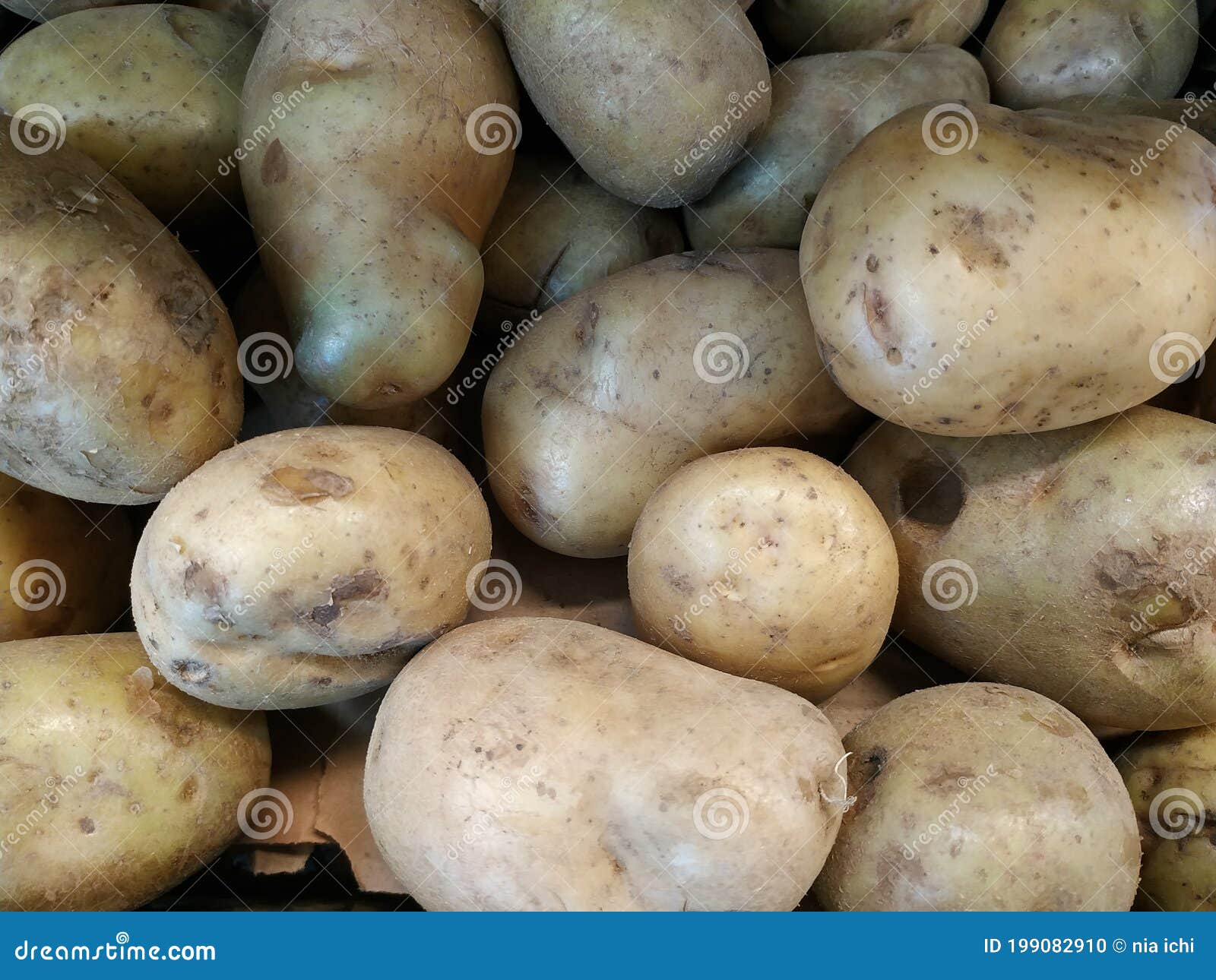 白底木盒里的新鲜土豆。矢量图标。插画图片素材_ID:418874215-Veer图库