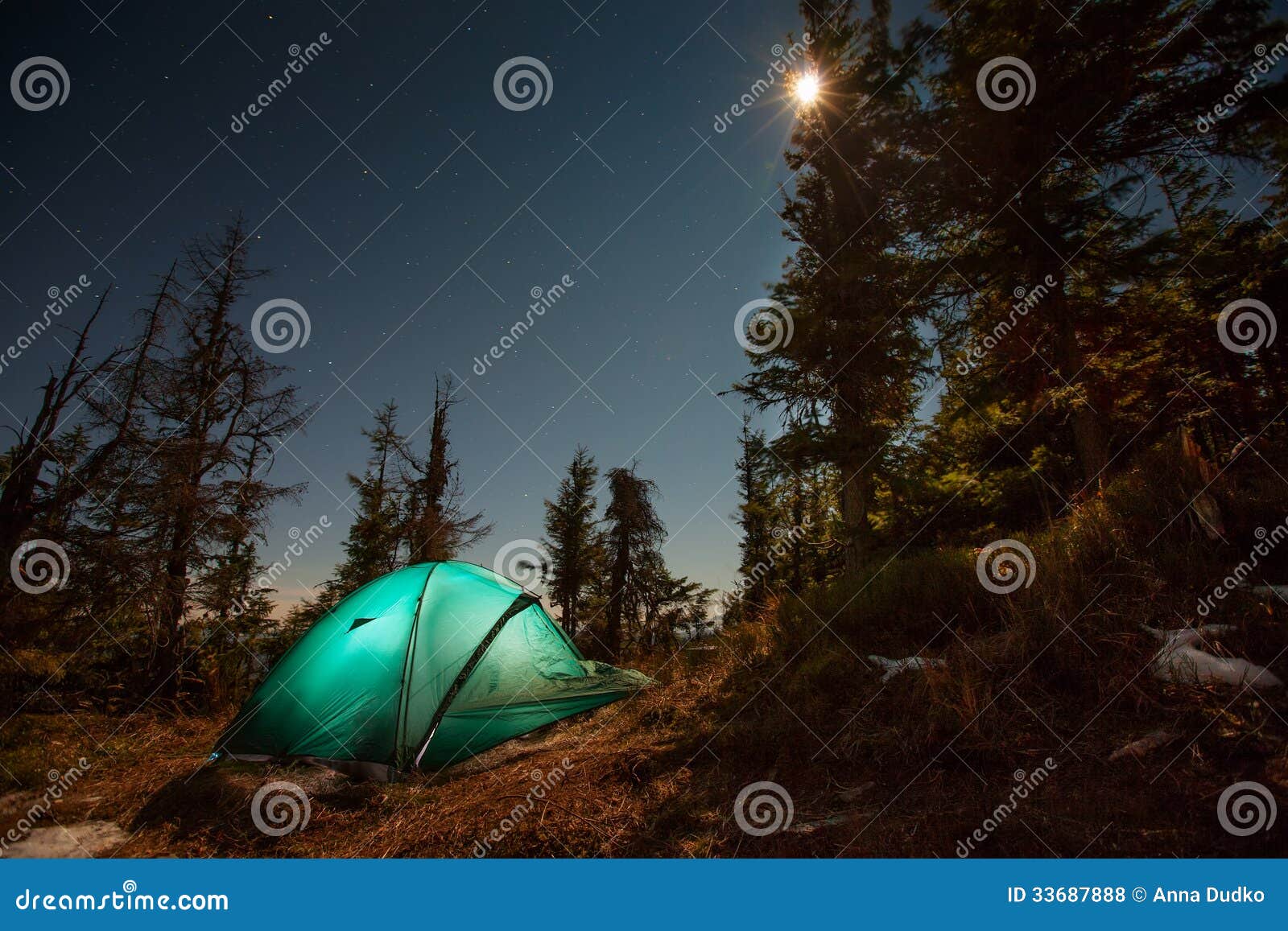 帐篷照亮与光在夜森林里