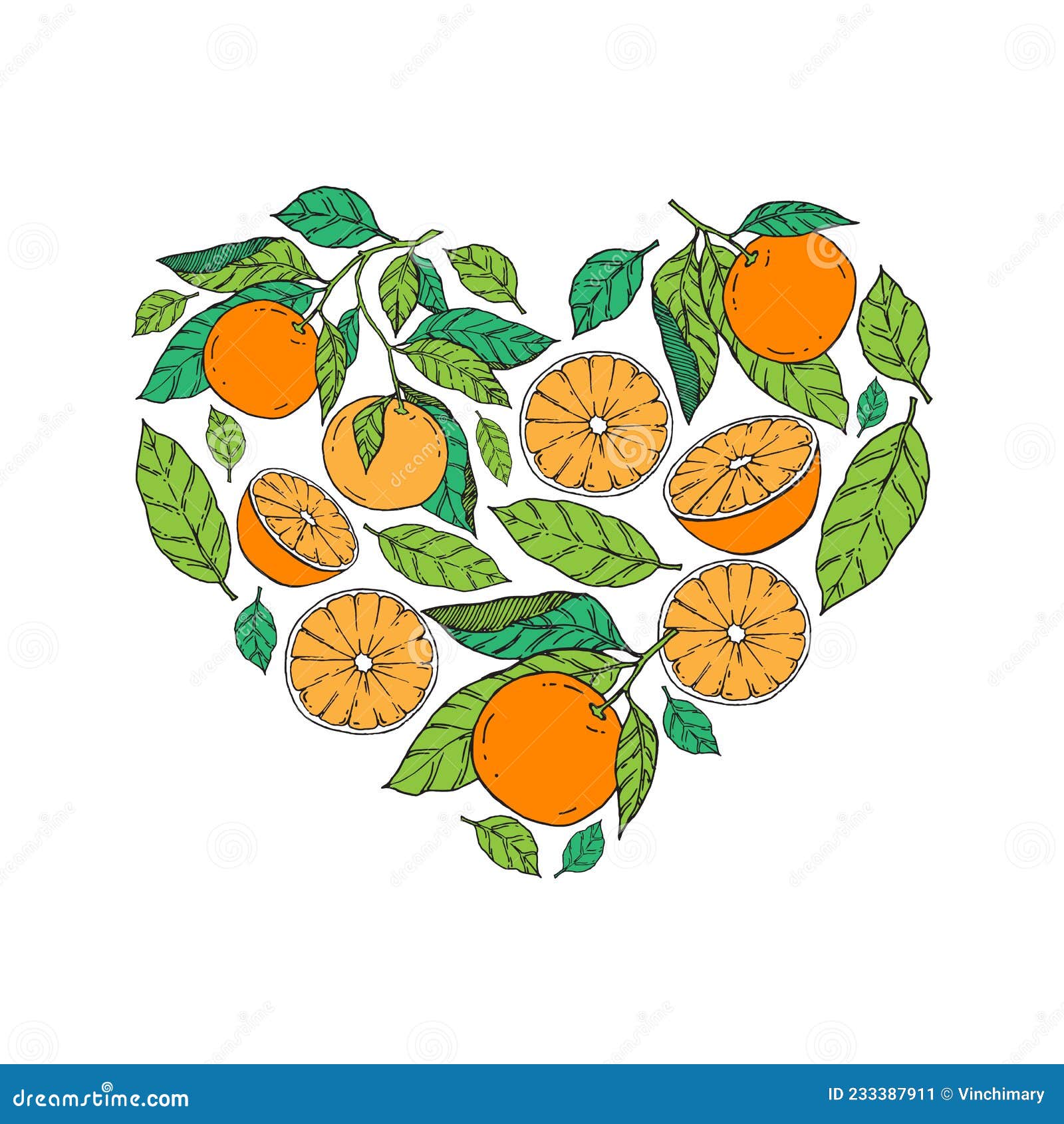 切开的橘子图片大全-切开的橘子高清图片下载-觅知网