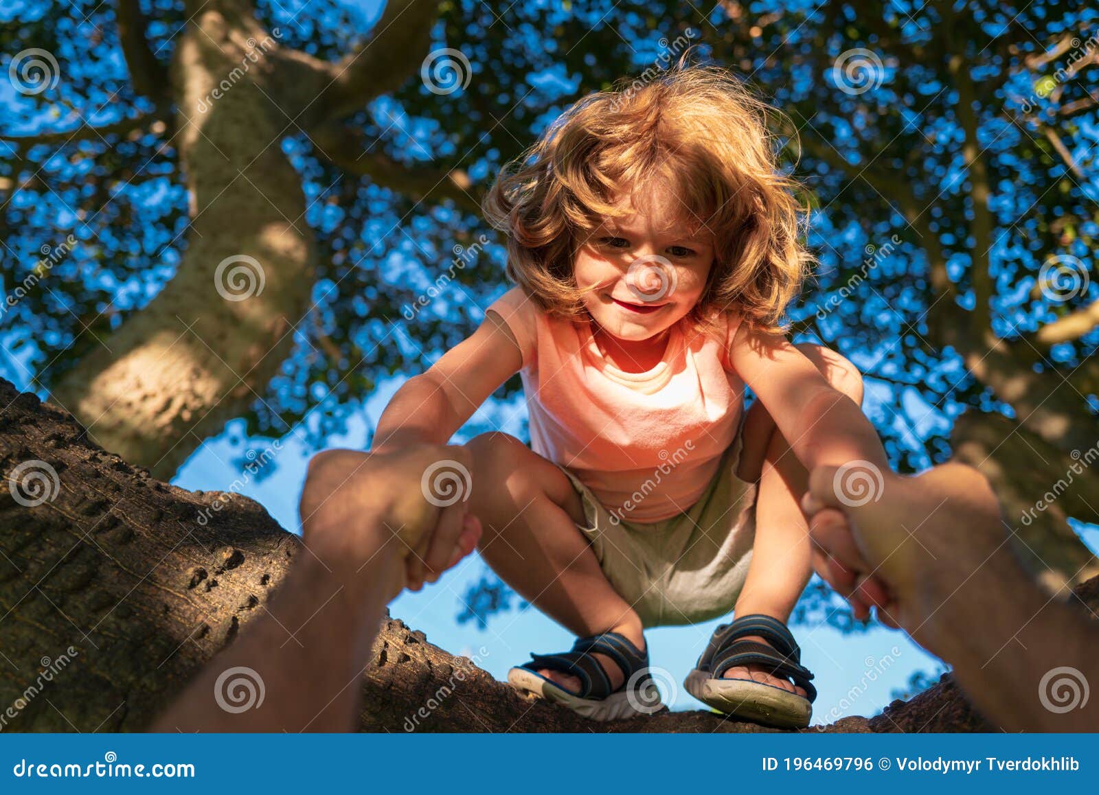 爱爬树的学生图片素材-编号24612592-图行天下