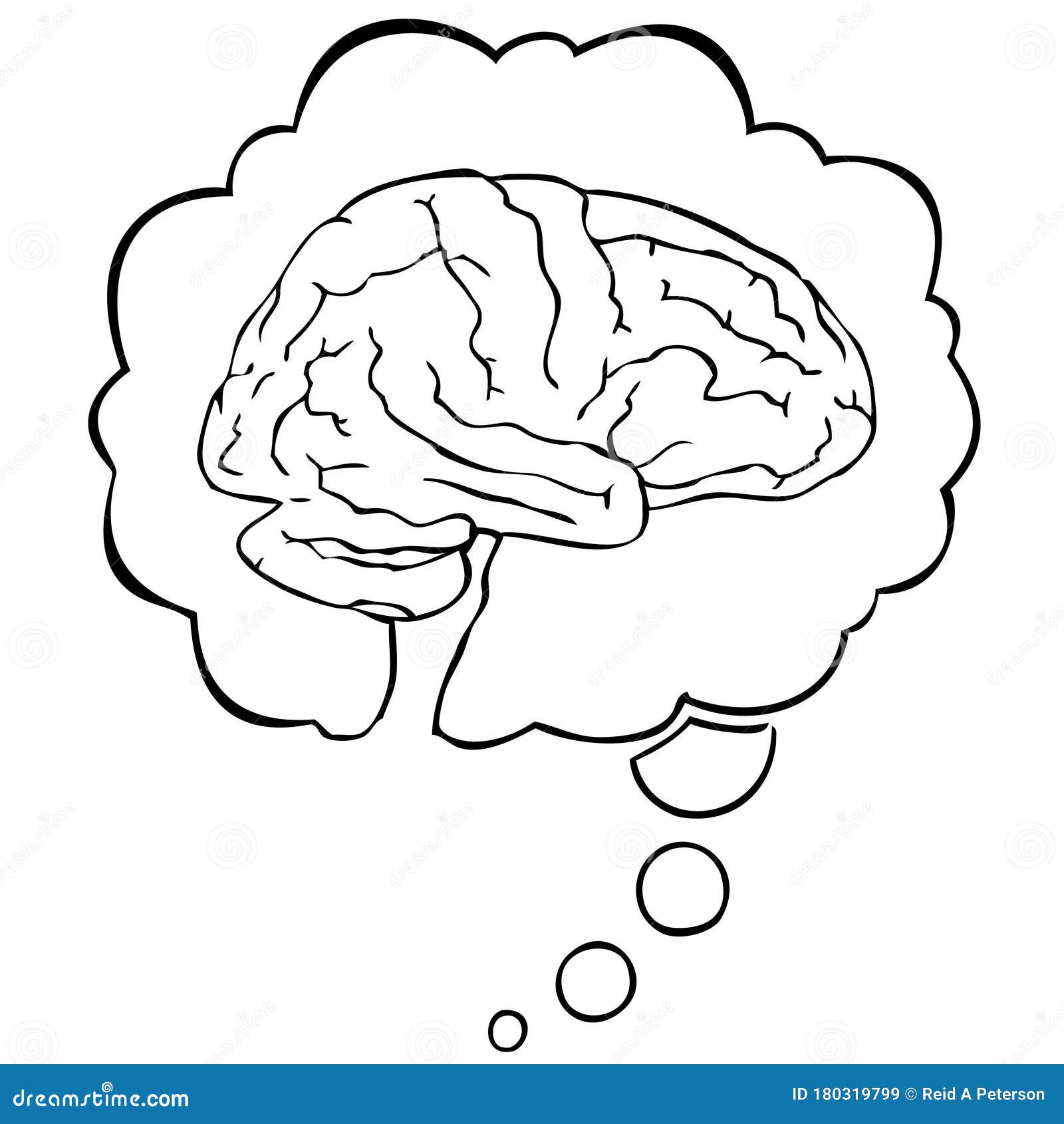 大脑思维图片素材-编号12853540-图行天下