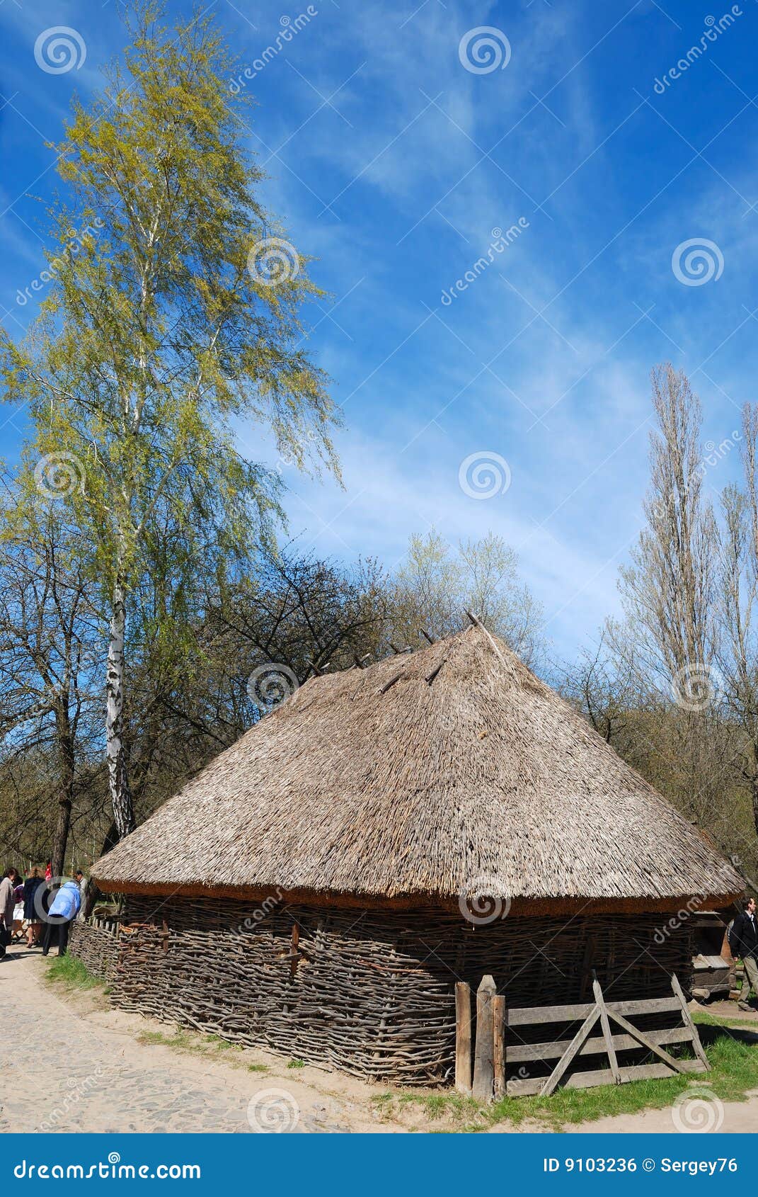 桦树房子屋顶茅草屋顶