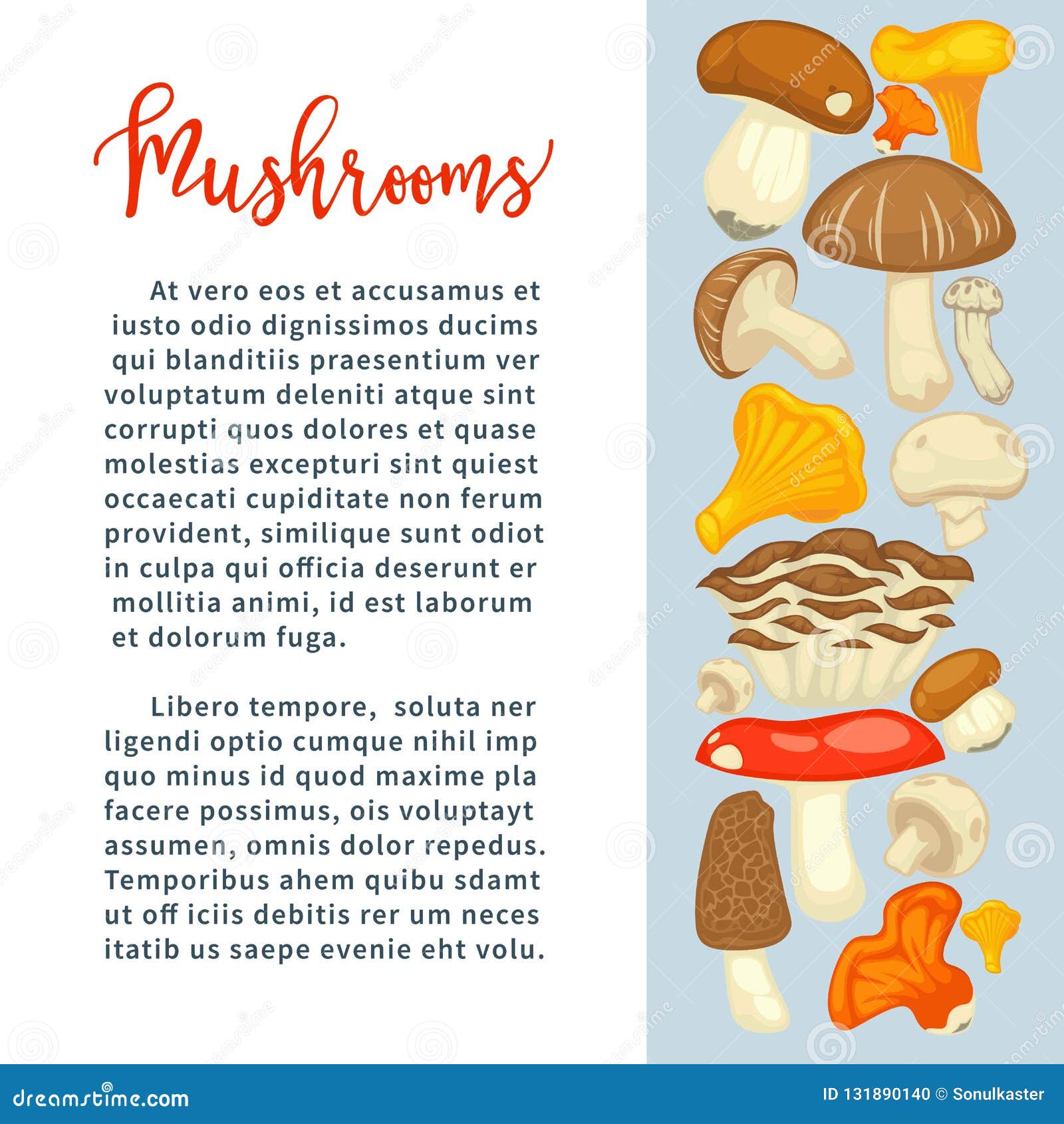所有可食的种类成熟森林蘑菇在增进海报的与样品发短信. 所有可食的种类成熟森林蘑菇在增进海报的与样品充分发短信给有机食品动画片平的传染媒介例证自然收获健康蛋白质