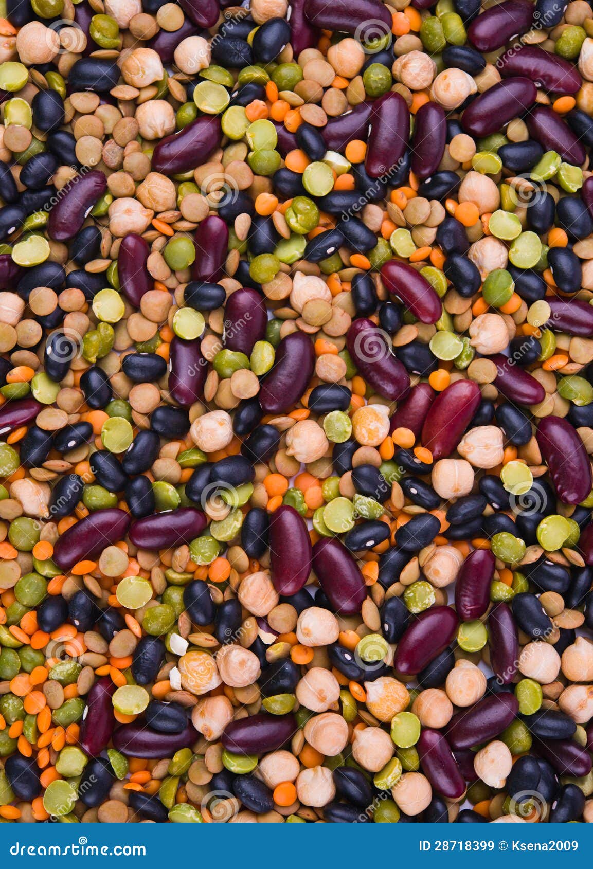 鸡豆选择聚焦 库存图片. 图片 包括有 阿拉伯人, 豆类, 食物, 豌豆, 小鸡, 营养, 蛋白质, 没人 - 97198169