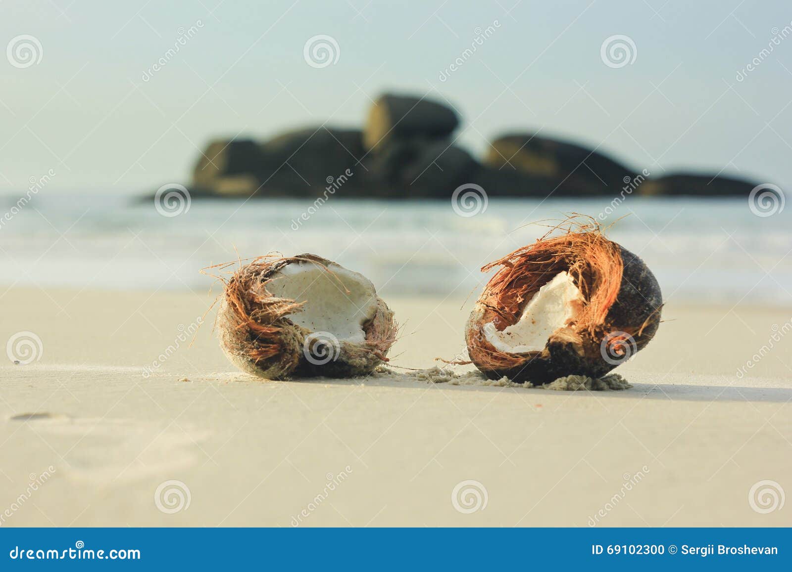 海滩海洋椰子图片素材-编号30301300-图行天下