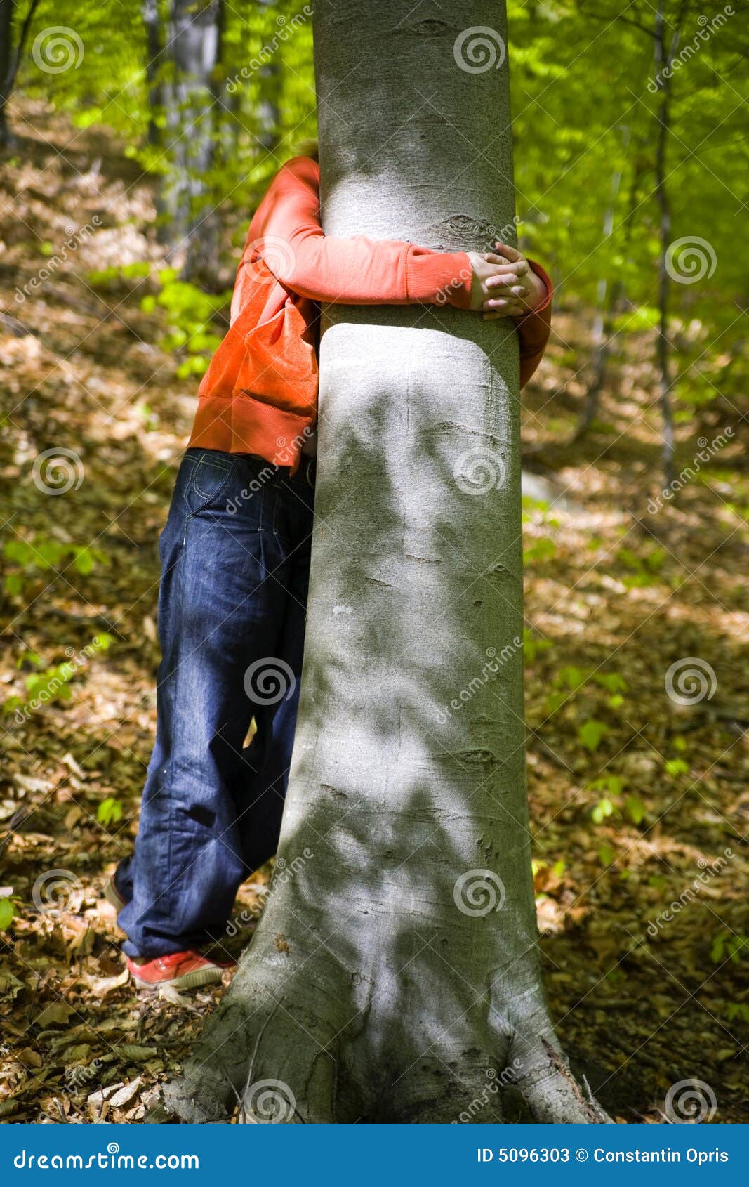 Couple Hugging Tree in Forest Stock Photo - Image of enjoyment ...