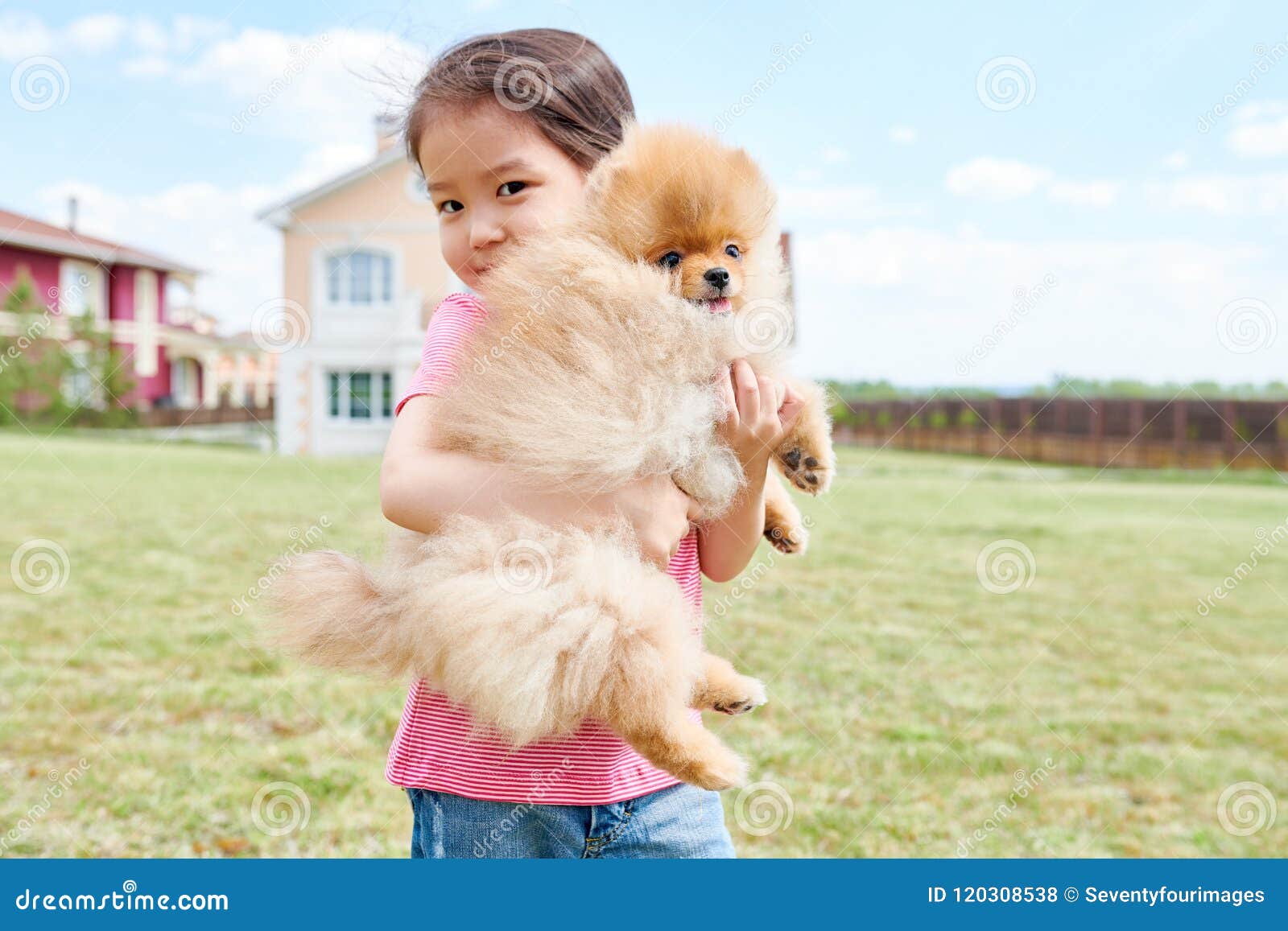 女孩和爱犬画象 库存照片. 图片 包括有 使用, 小狗, 本质, 猎犬, 少许, 愉快, 敌意, 嬉戏, 孩子 - 76868334