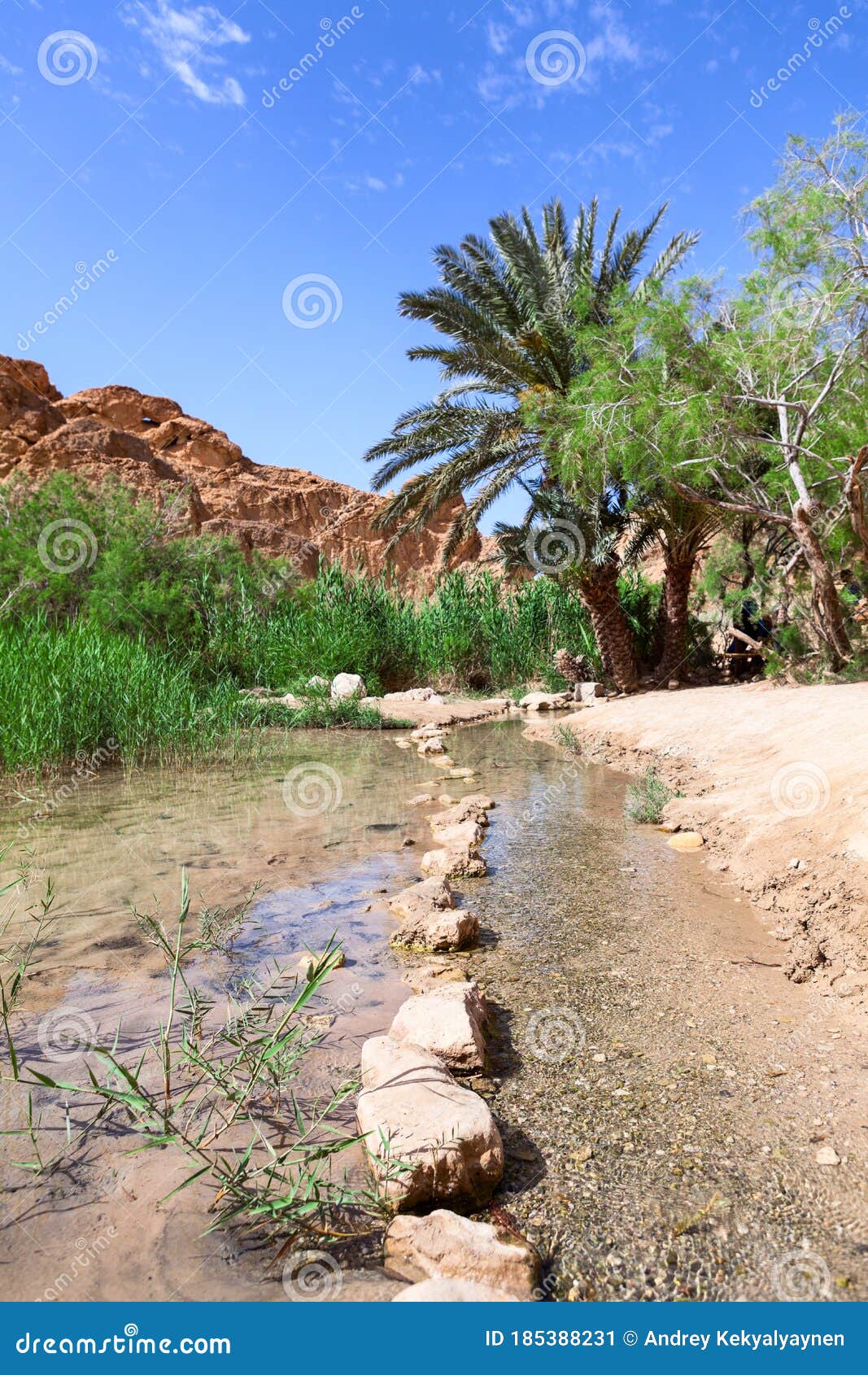 切比卡绿洲，突尼斯高清摄影大图-千库网
