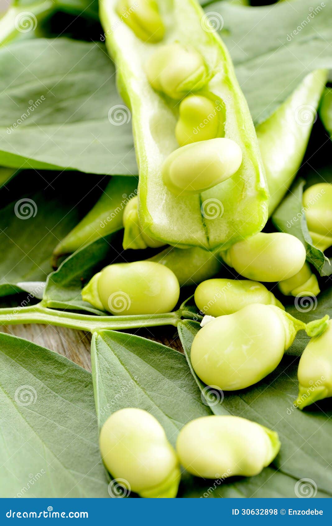 五香蚕豆怎么做_五香蚕豆的做法_豆果美食
