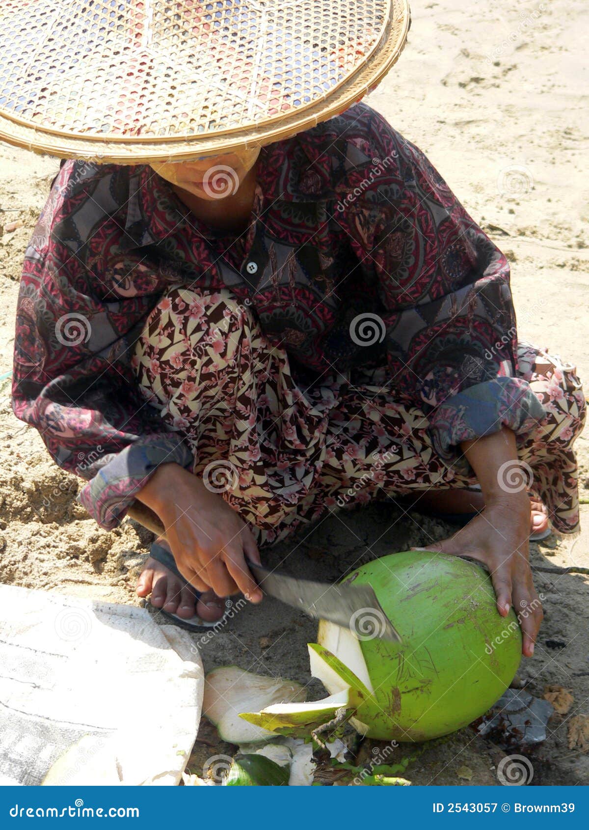 新鲜缅甸的椰子. 存取允许海滩椰子夫人去除牛奶的ngapali冠上