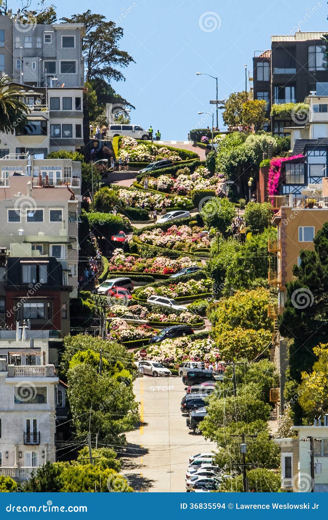 【携程攻略】旧金山九曲花街景点,九曲花街（伦巴底街Lombard Street）是全美国最弯曲的一条街道，短短…