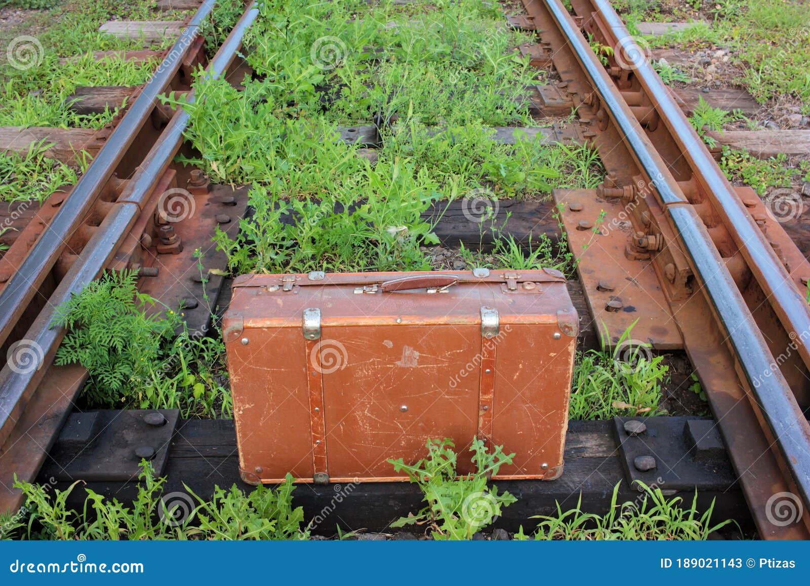 一小，窄片火车轨道runnig通过高草 库存图片. 图片 包括有 å®¤å¤, çº¯, æˆ·å¤, å ¶å­ - 123527129