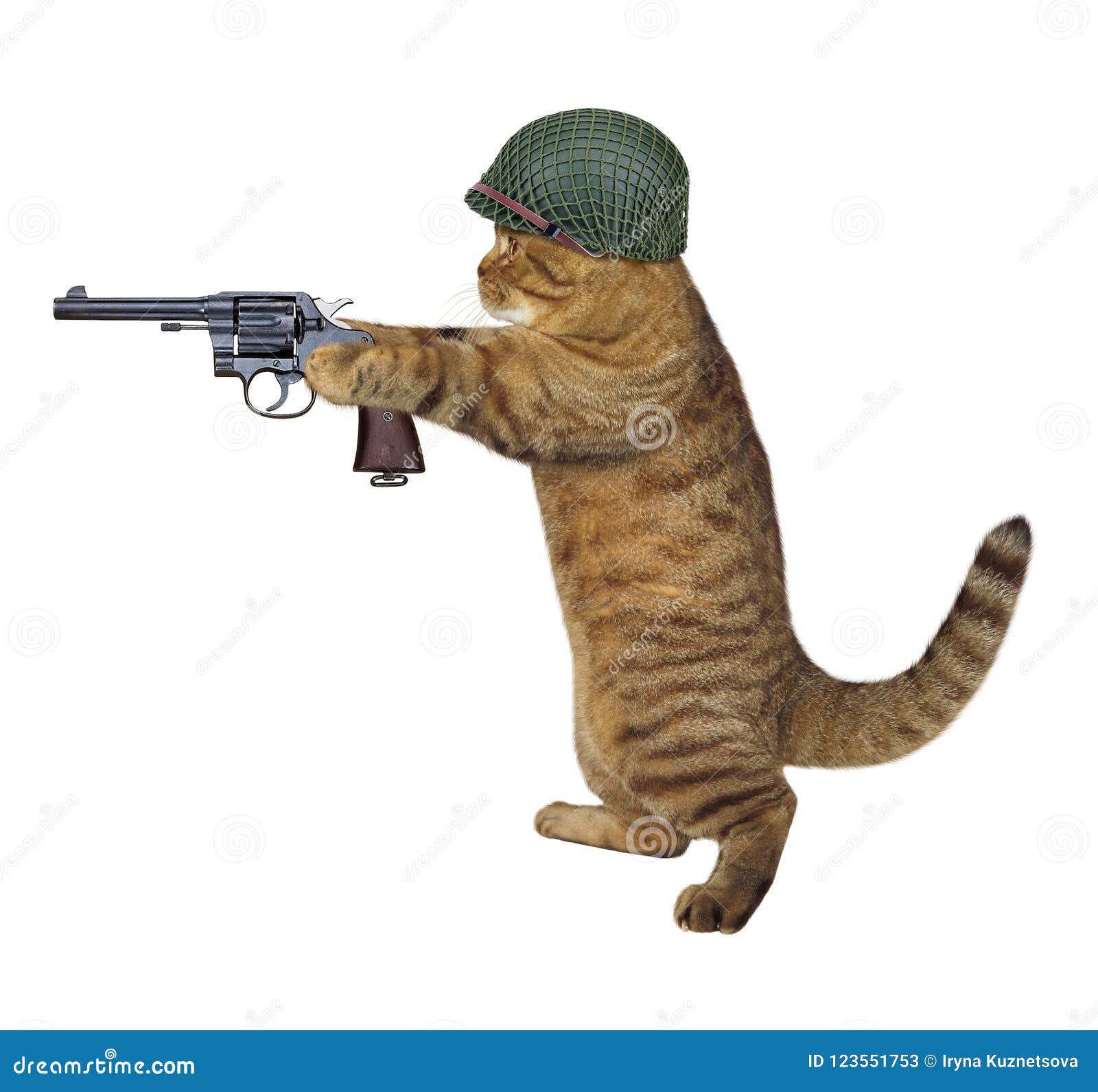 一只表情严肃的滑稽猫手里拿着枪插画图片素材_ID:406255365-Veer图库