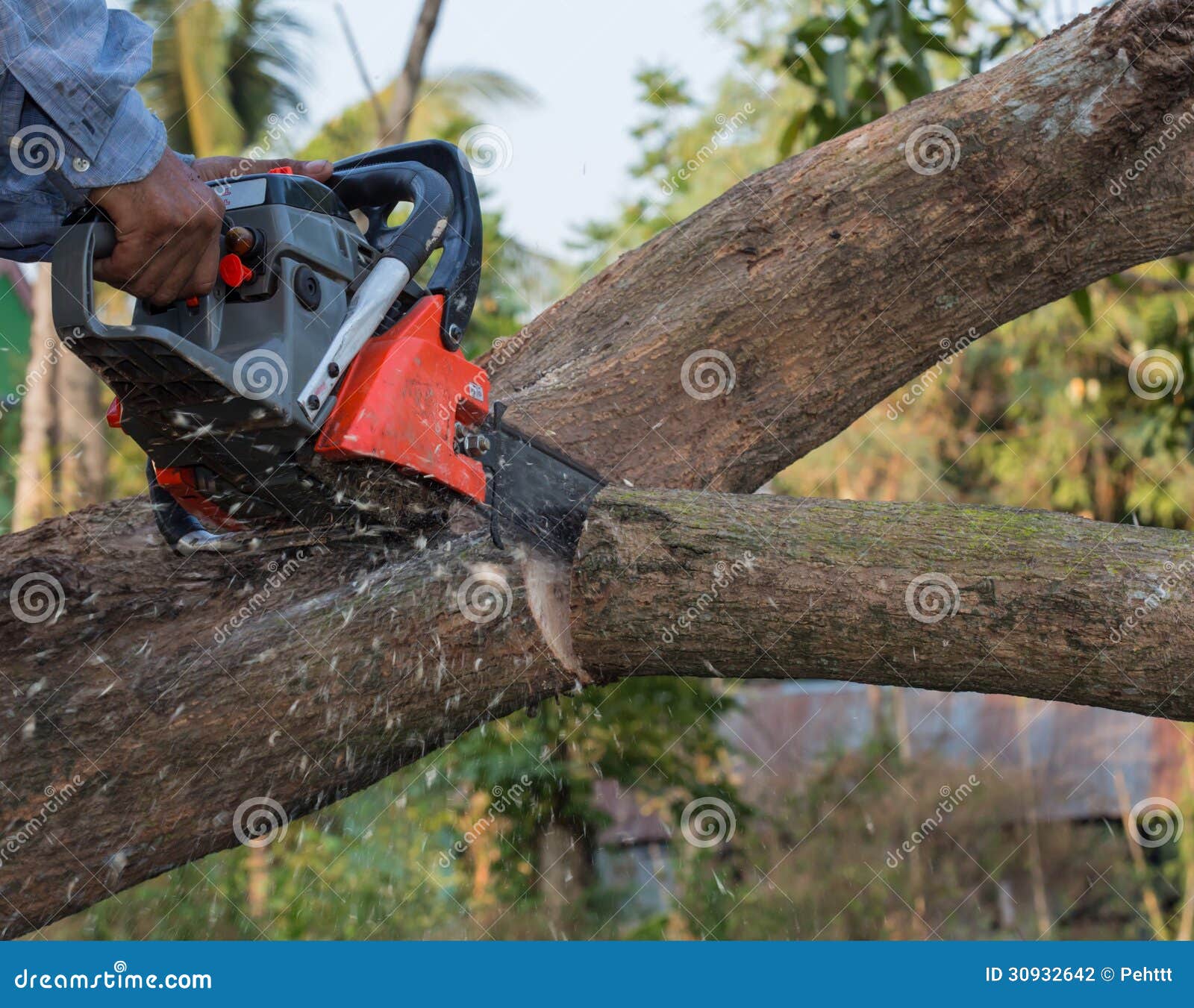 伐木工人砍树图片素材_免费下载_jpg图片格式_高清图片100257776_摄图网