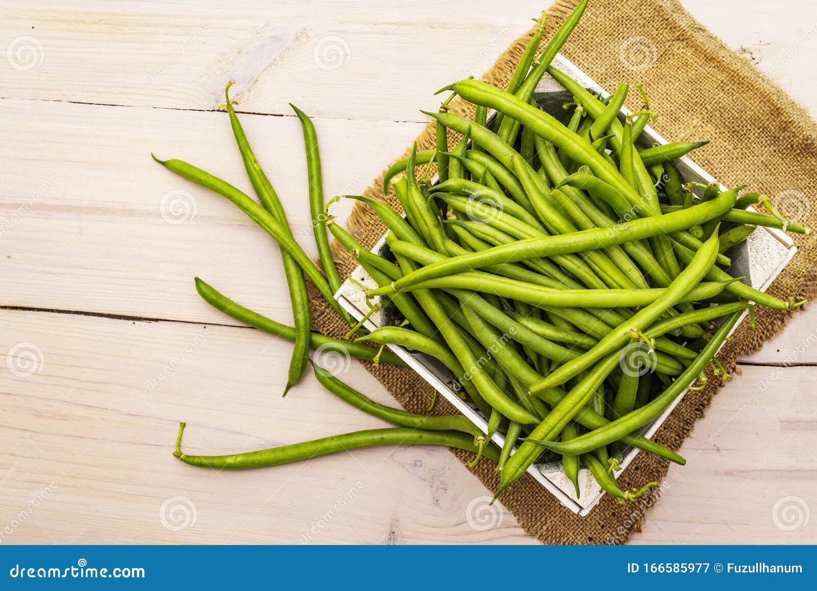 菜豆-中国蔬菜作物-图片