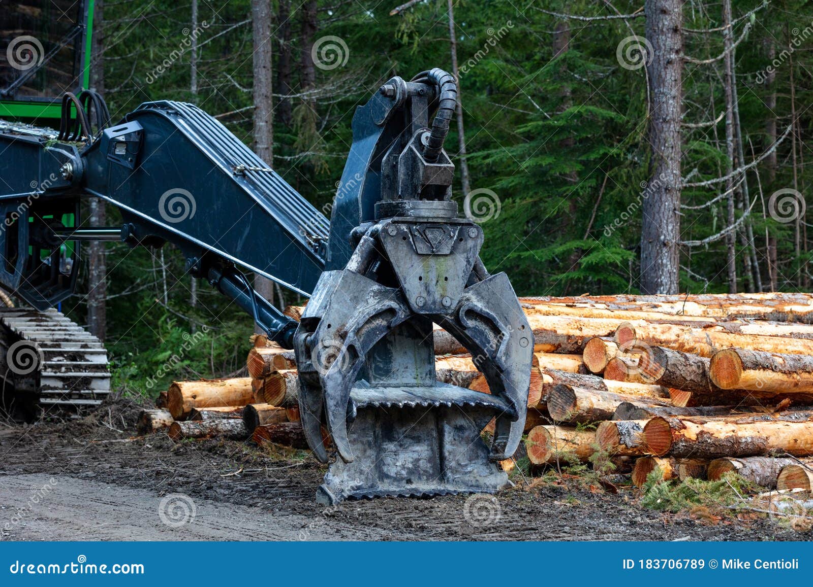 伐木机图片素材-编号28018353-图行天下