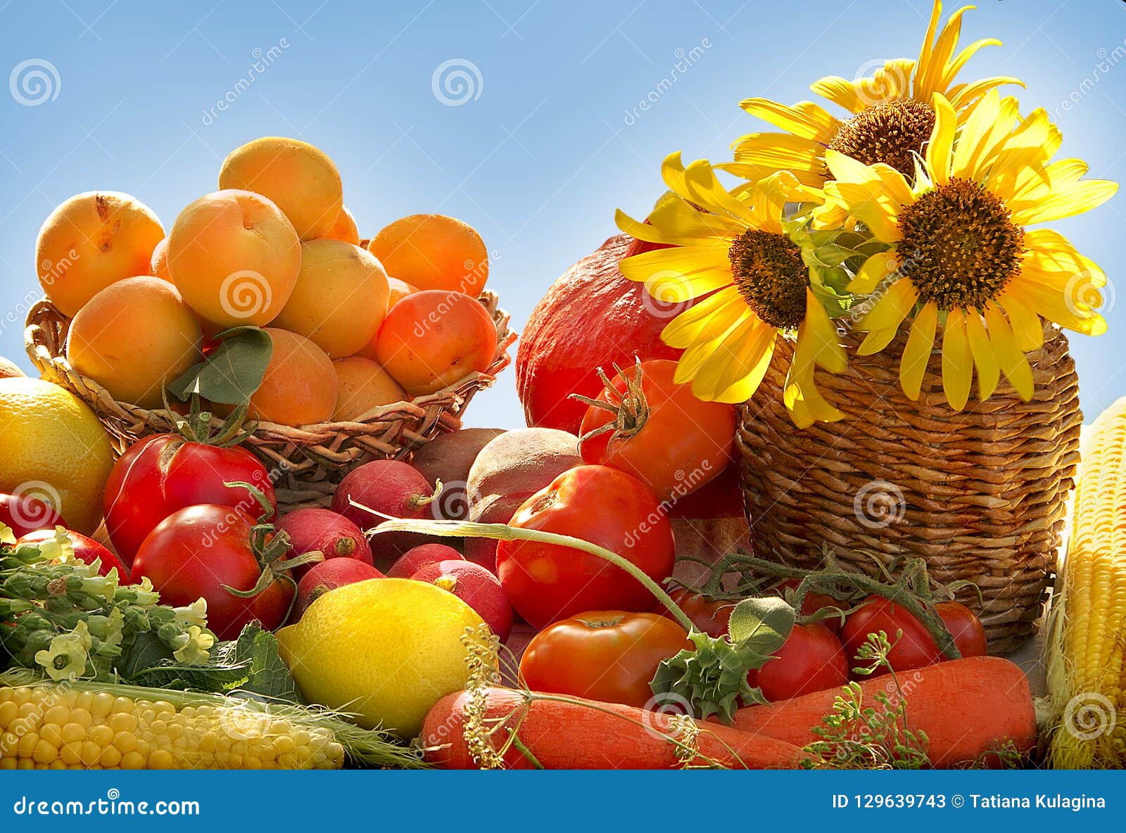 不同颜色的蔬菜各含什么营养－－学佛网