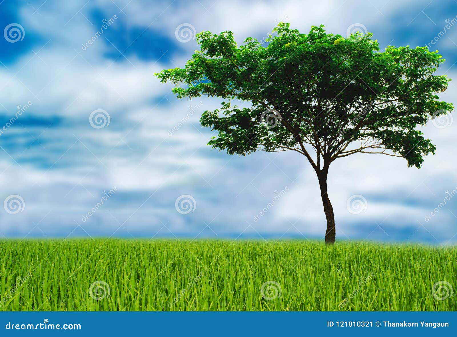 绿色树帮助为将来减少全球性变暖，爱世界爱护树木，地球日概念请加入我们
